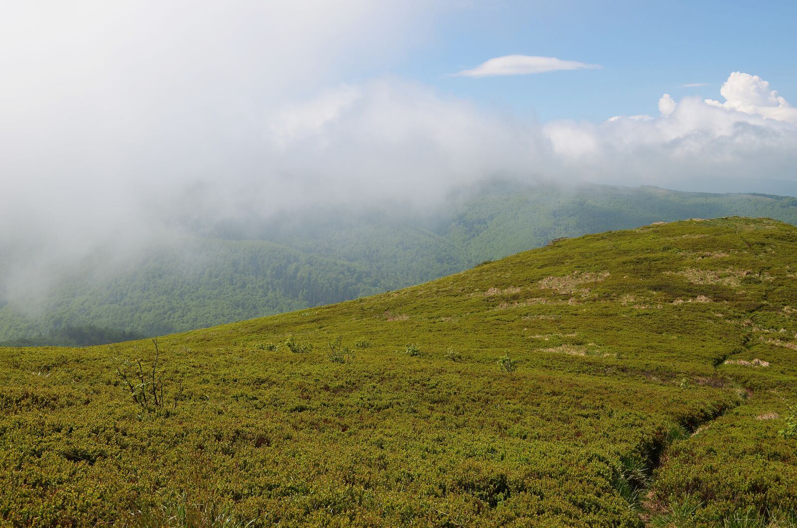 Nikon D5100 sample photo. Mountains, landscape, bieszczady photography