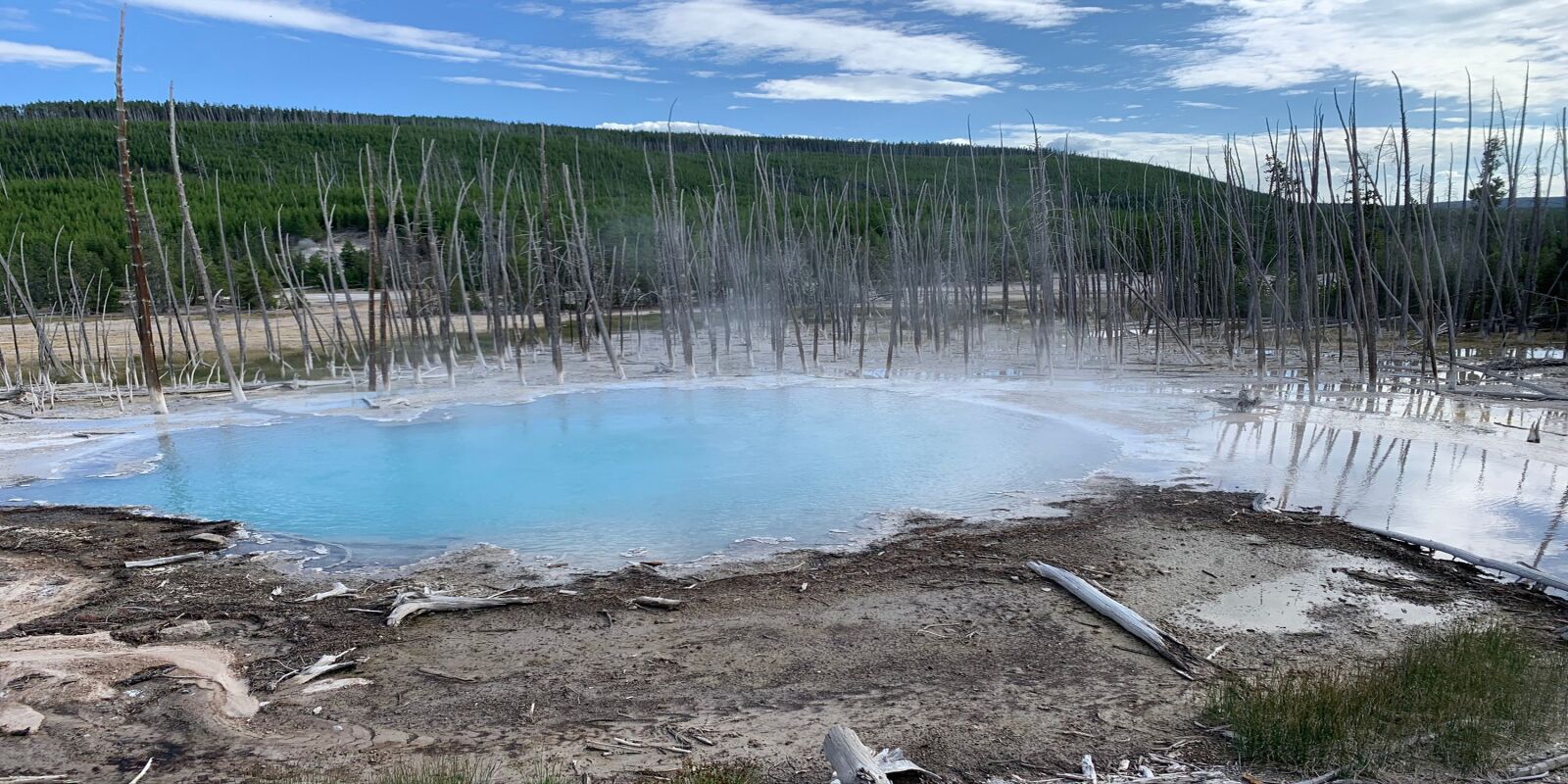 Apple iPhone XS sample photo. Yellowstone, geyser, death photography