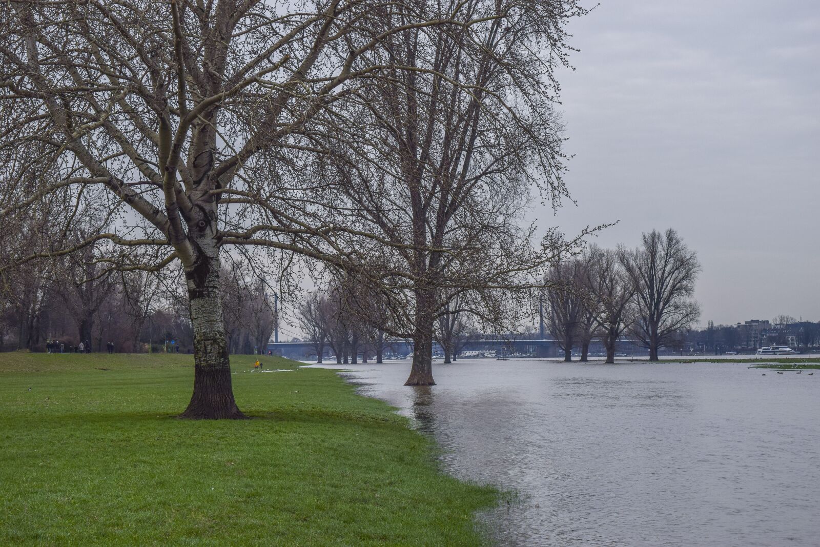 Nikon D3300 sample photo. High water, flood, water photography