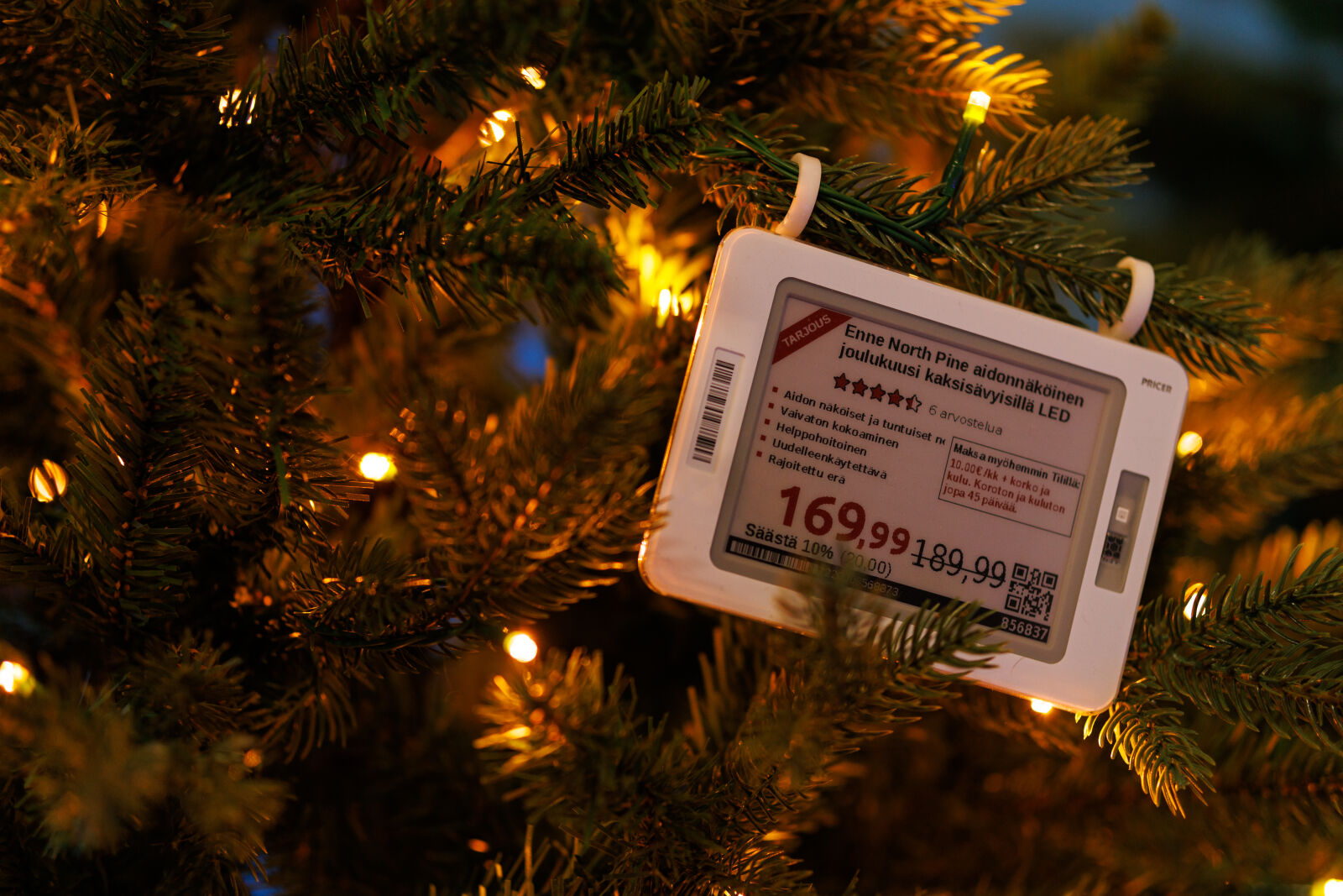 Sigma 56mm F1.4 DC DN | C sample photo. Price for christmas photography