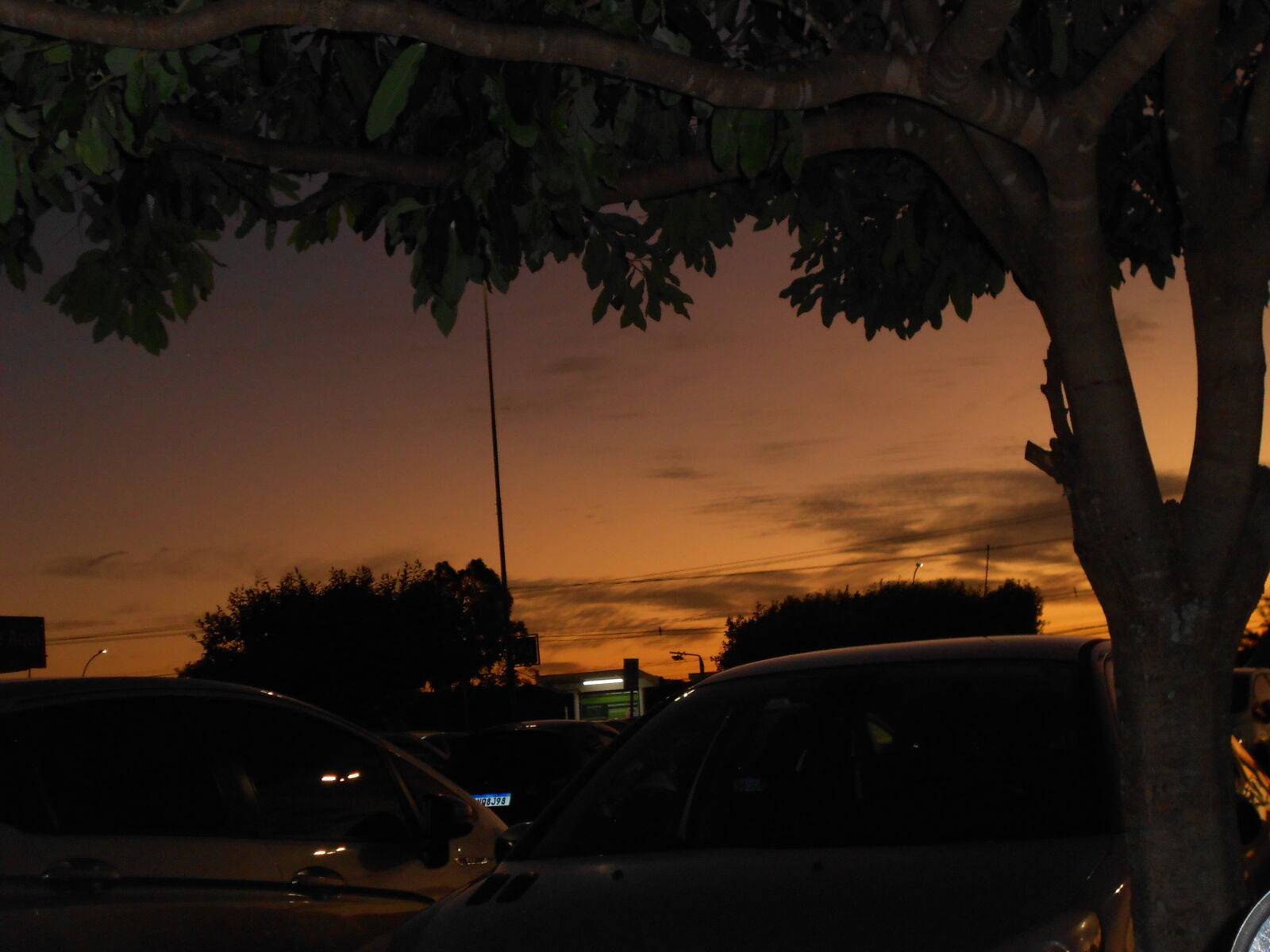 Nikon COOLPIX S2600 sample photo