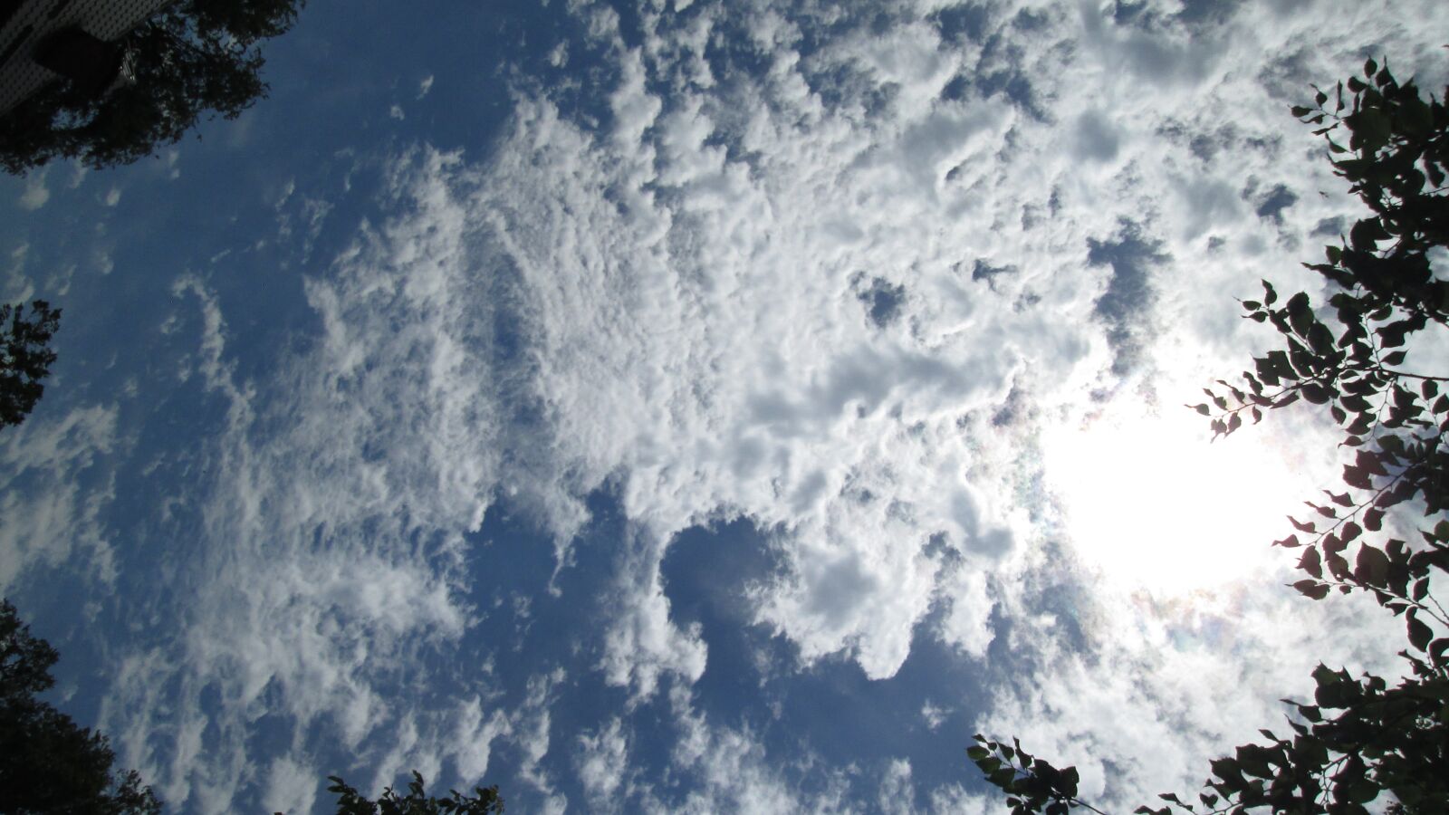 Canon PowerShot A810 sample photo. Sky, magic, nature photography