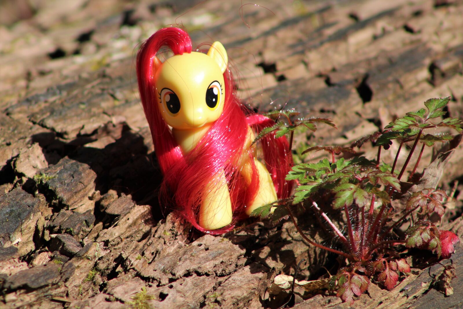 Canon EOS 2000D (EOS Rebel T7 / EOS Kiss X90 / EOS 1500D) sample photo. Toys, pony, my little photography