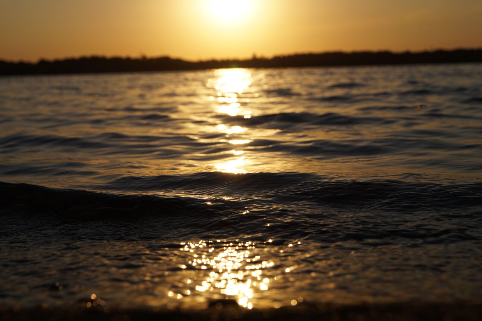 Sony SLT-A58 sample photo. Water, sun, sunset photography