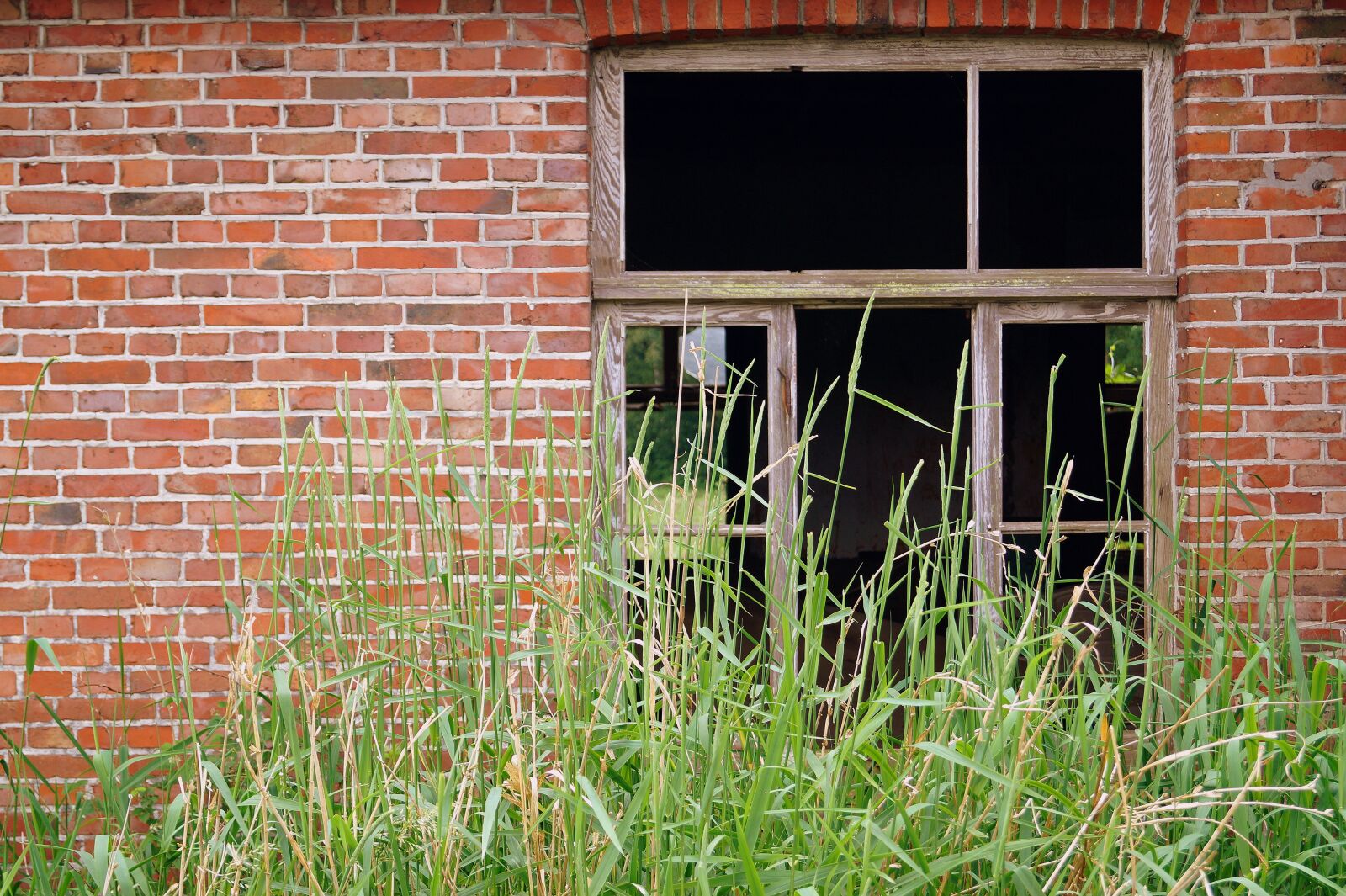 Sony DT 18-55mm F3.5-5.6 SAM II sample photo. Window, ruin, abandoned photography