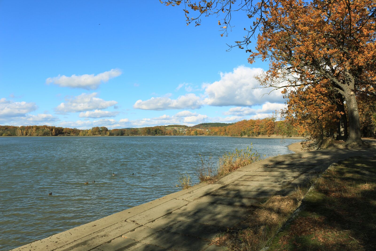Canon EOS 700D (EOS Rebel T5i / EOS Kiss X7i) sample photo. Bank, trees, walk photography
