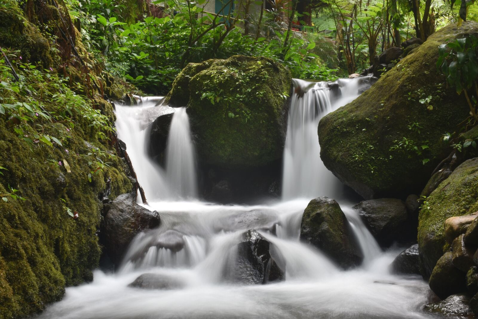 Nikon D3400 sample photo. Creek, stream, waterfall photography