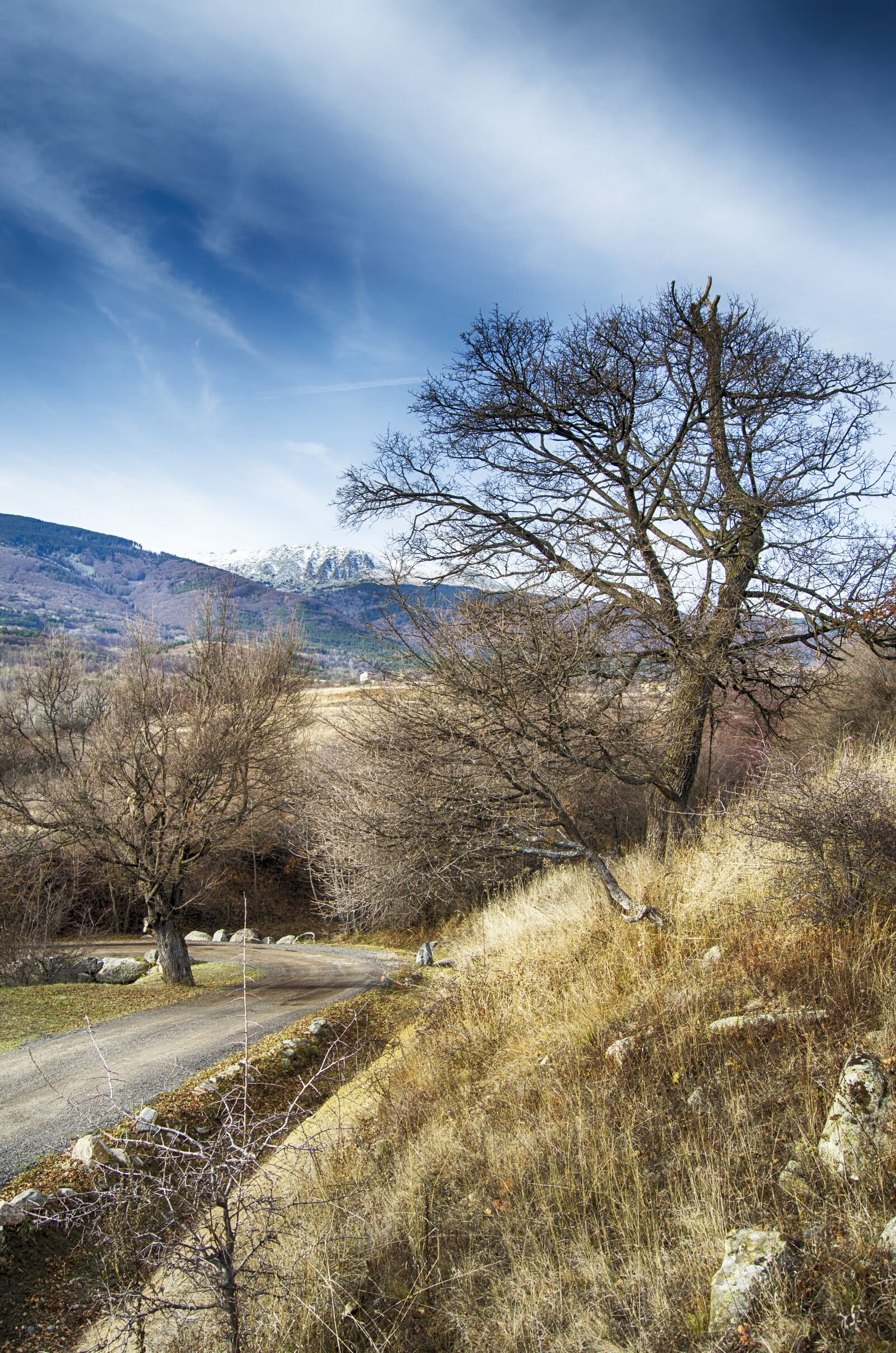 Nikon D5100 sample photo. Winter, gravel road, blue photography