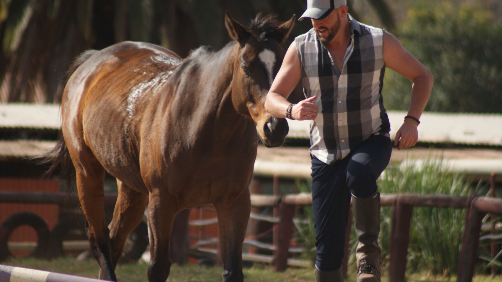 Sony Alpha DSLR-A200 sample photo. Outdoors, cavalry, mammal photography