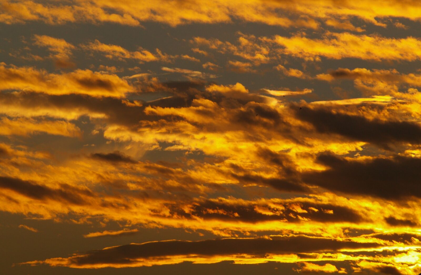Olympus E-400 (EVOLT E-400) sample photo. Sunset, sky, clouds photography