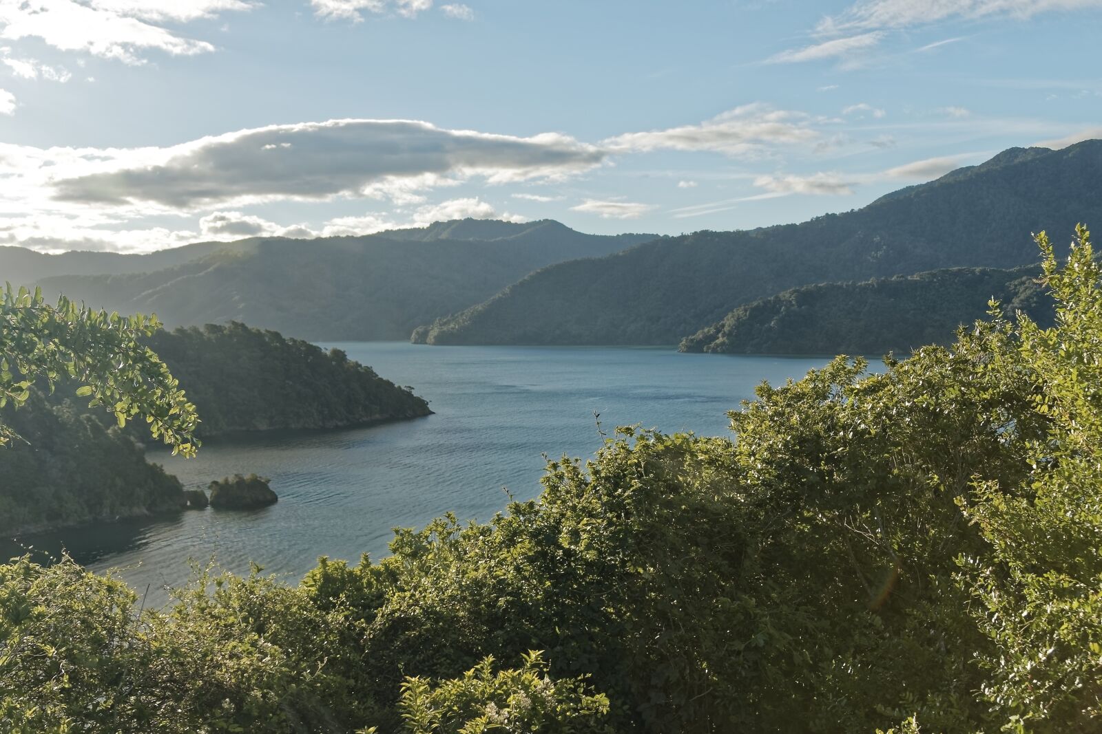 Nikon D500 sample photo. New zealand, ngakuta bay photography