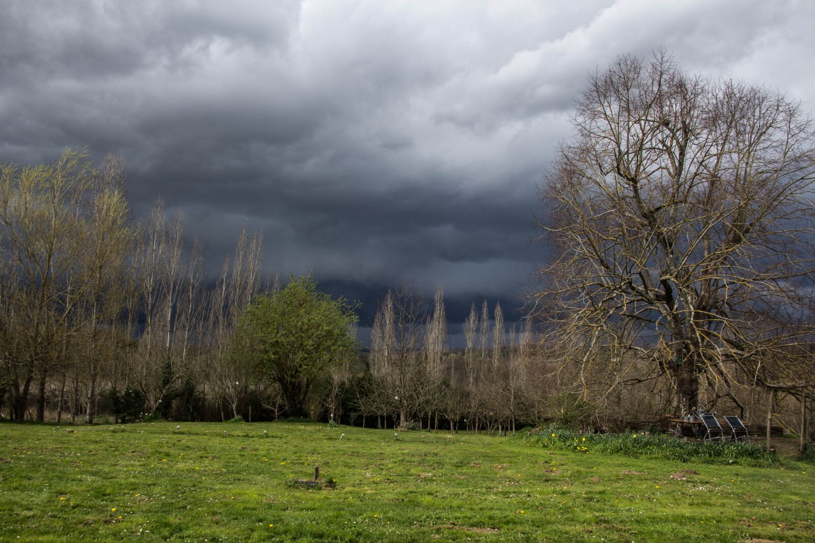 Canon EOS 60D sample photo. Nature, landscape, outdoor photography