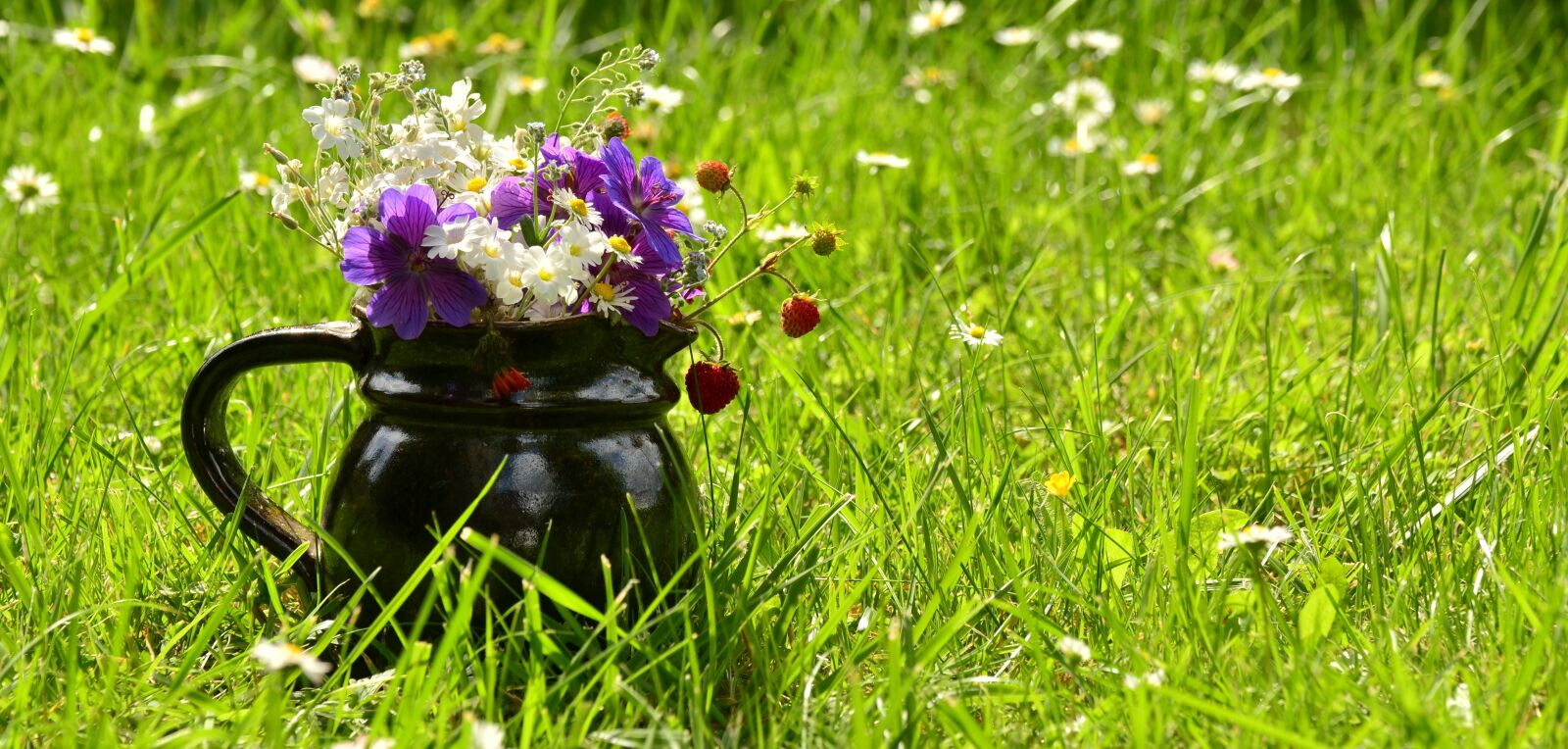 Nikon D5100 sample photo. Flower meadow, bouquet, wildflowers photography