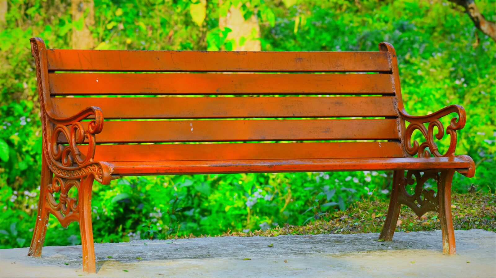 Nikon D5600 sample photo. Bench, wood, nature photography