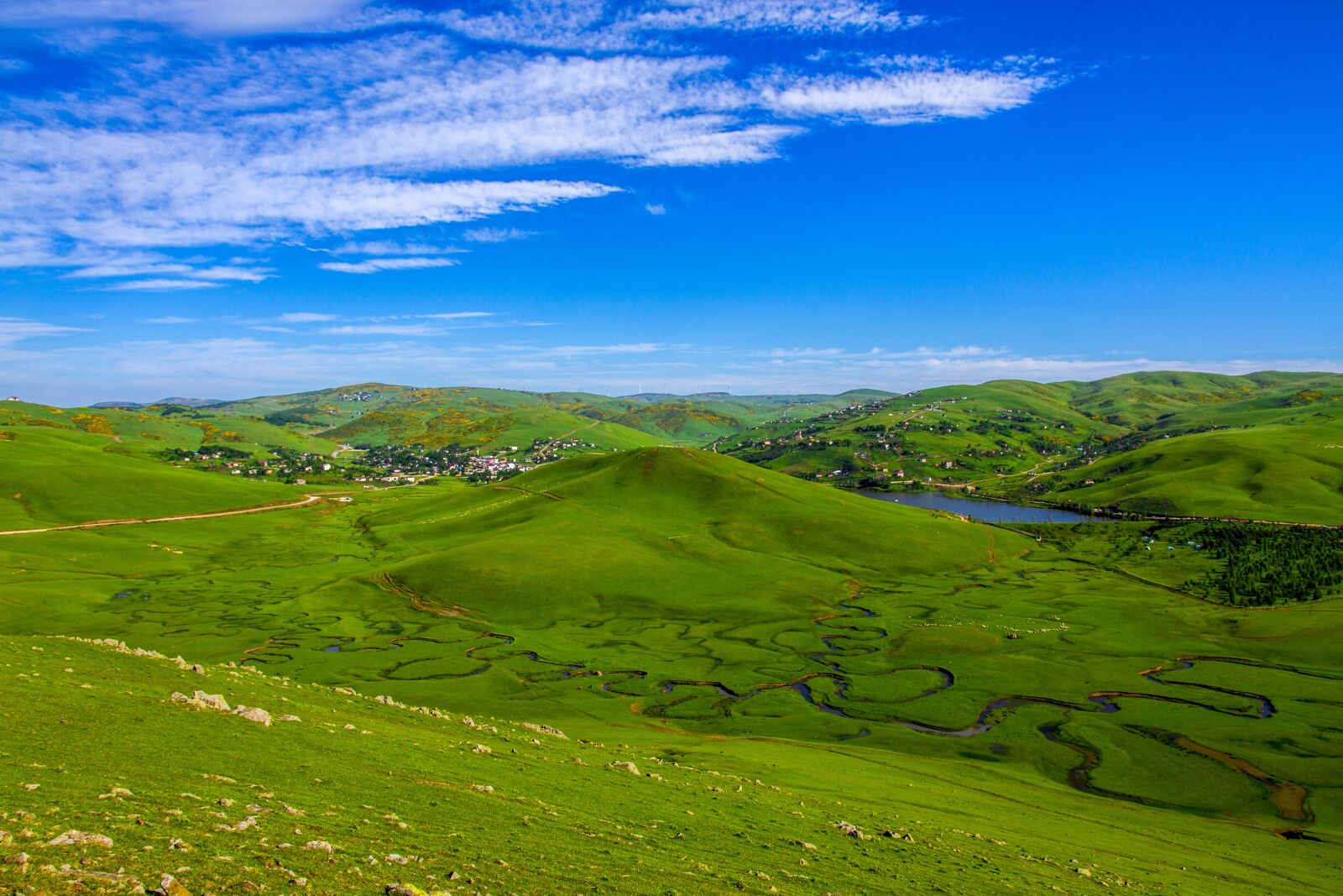 Canon EOS 7D sample photo. Nature, landscape, grass photography