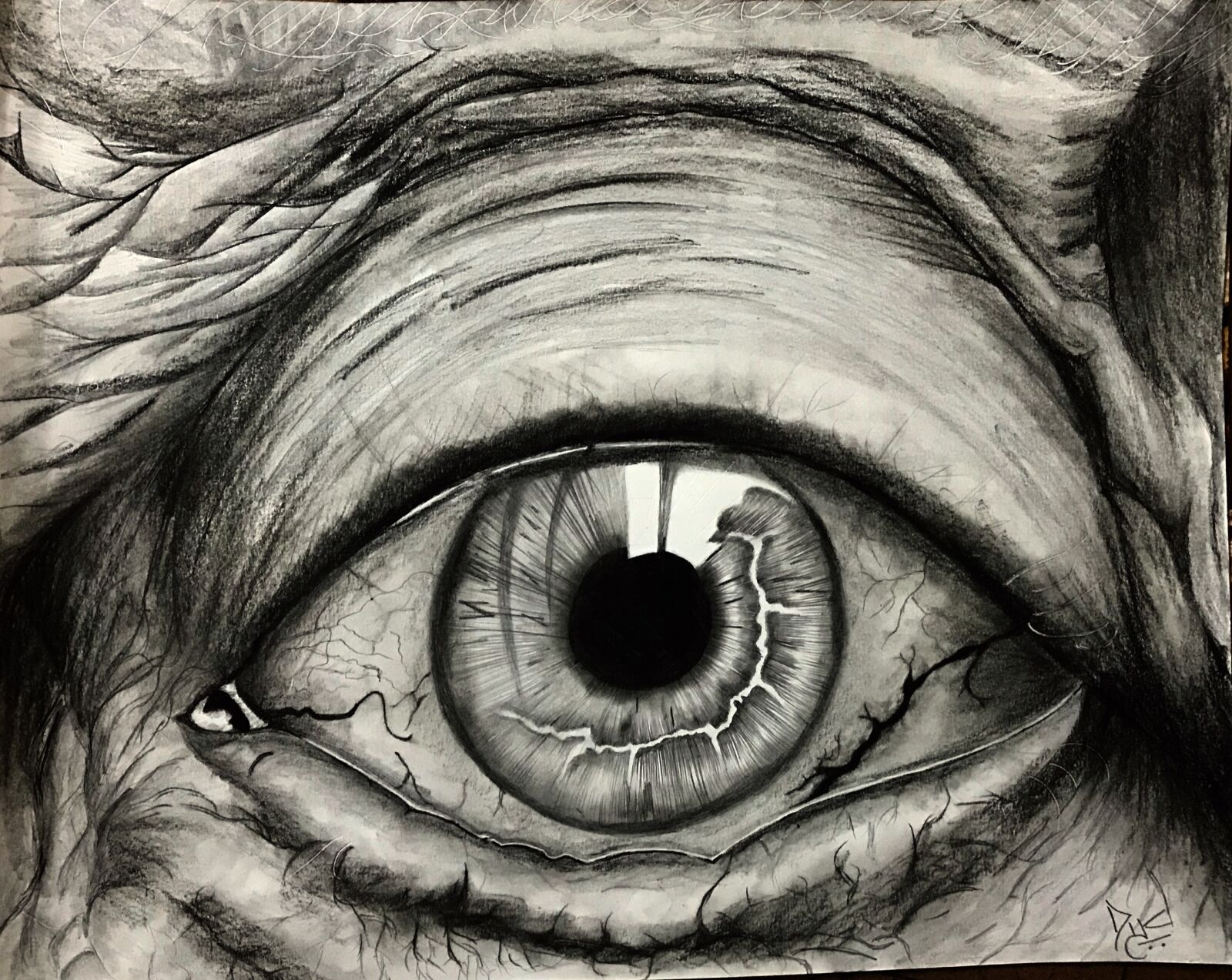 Apple iPhone 7 sample photo. Eye, old man, shine photography