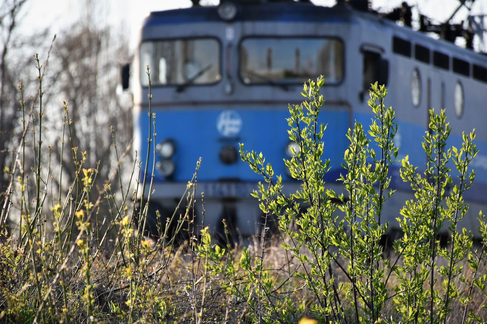 Nikon D5600 sample photo. Electric locomotive, cargo train photography