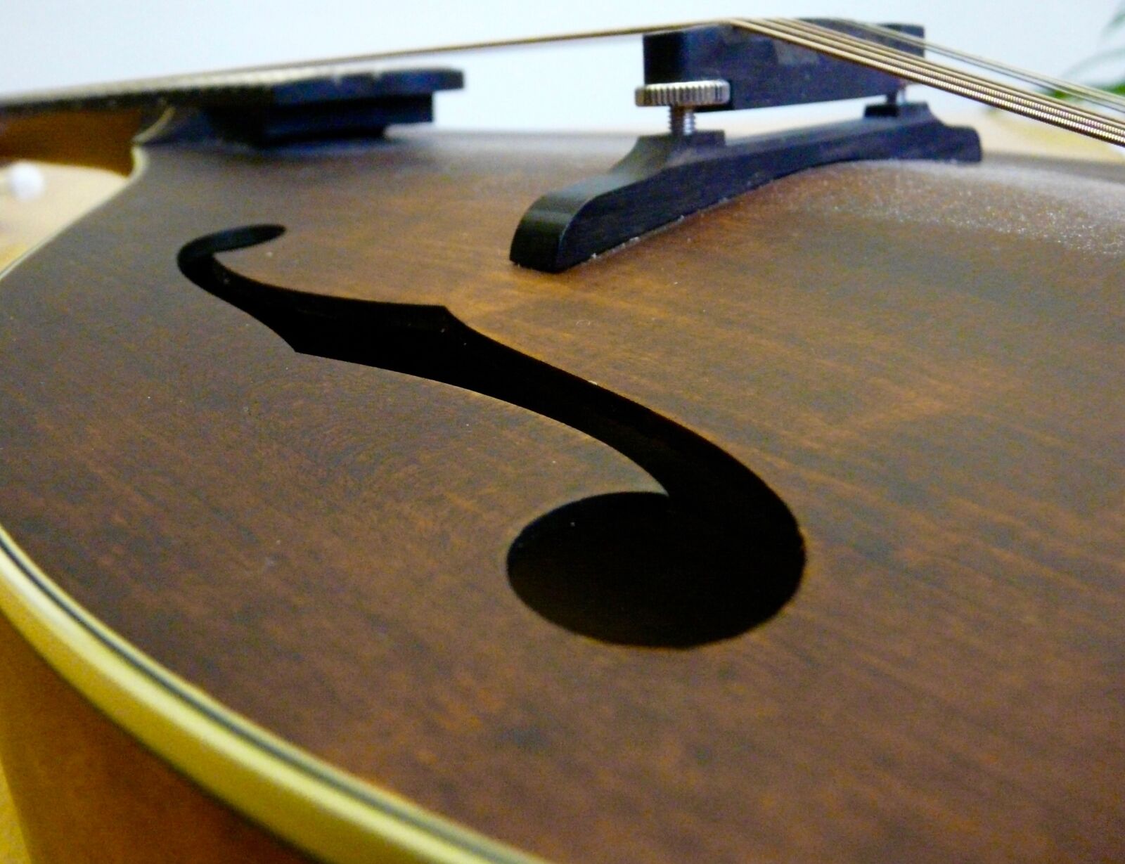 Panasonic DMC-FZ18 sample photo. Theme, music photography
