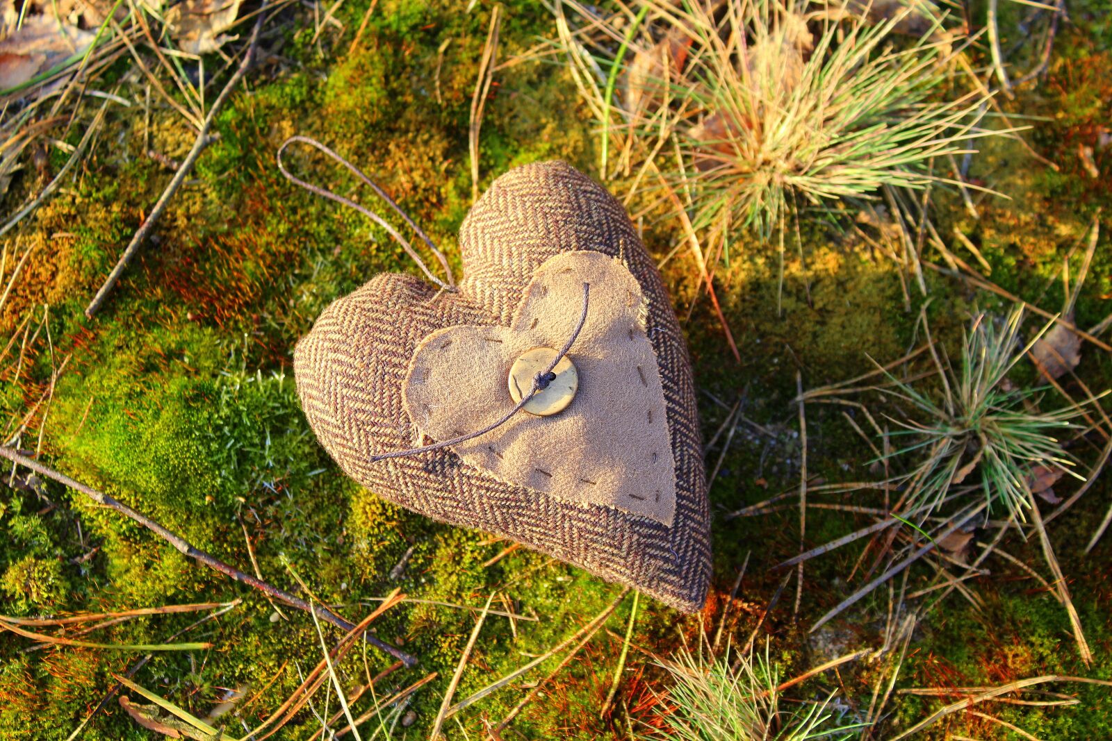 Canon EOS 1200D (EOS Rebel T5 / EOS Kiss X70 / EOS Hi) sample photo. Heart, valentine's day, emotions photography