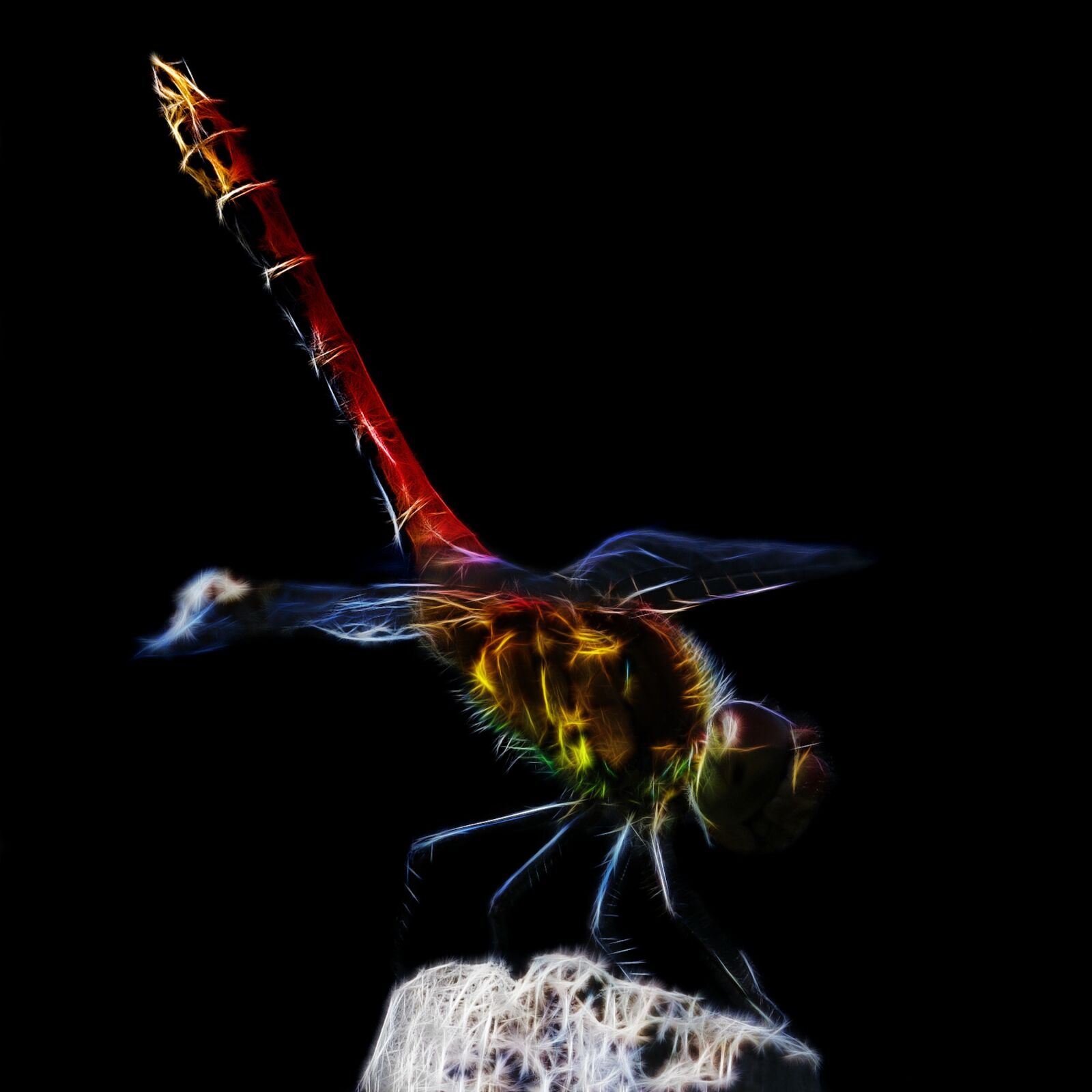 Canon PowerShot G15 sample photo. Dragonfly, abstract, fractalius photography