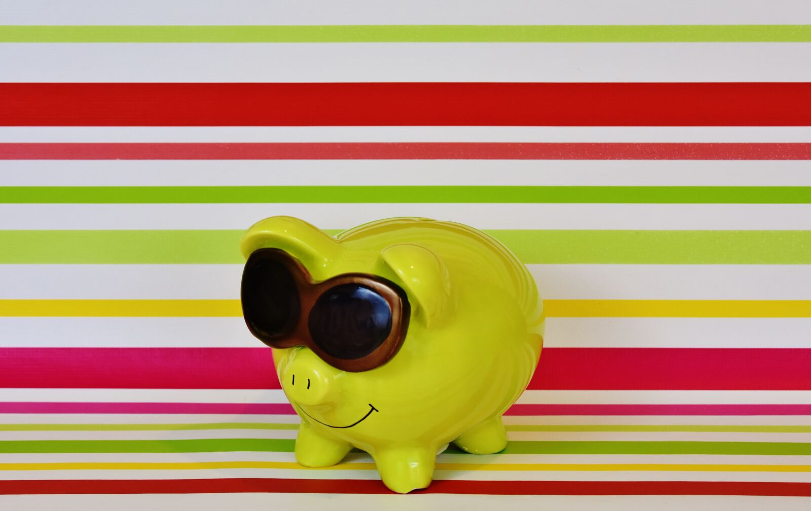 Nikon D7200 sample photo. Piggy bank, cool, funny photography