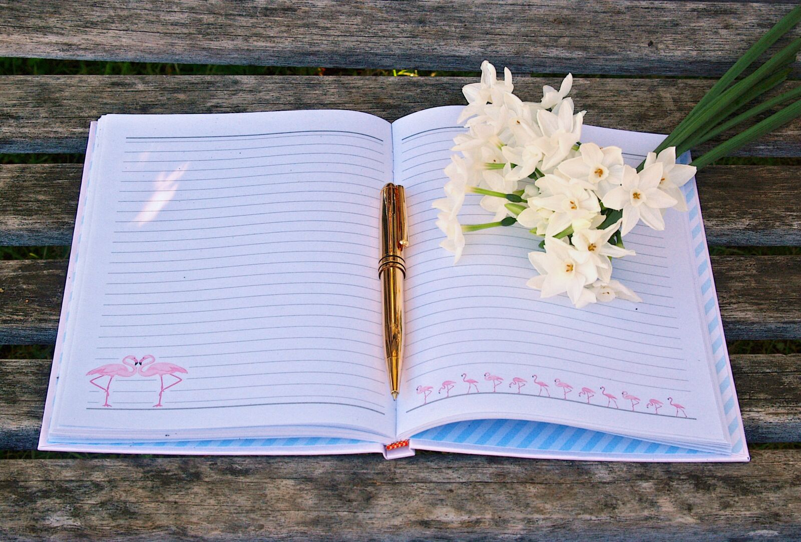 Olympus E-300 (EVOLT E-300) sample photo. Journal, pen, flowers photography