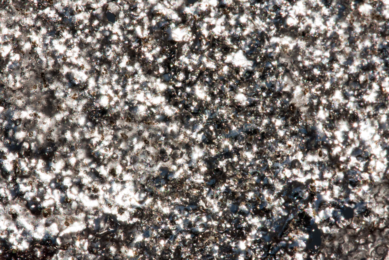 Canon EF 180mm F3.5L Macro USM sample photo