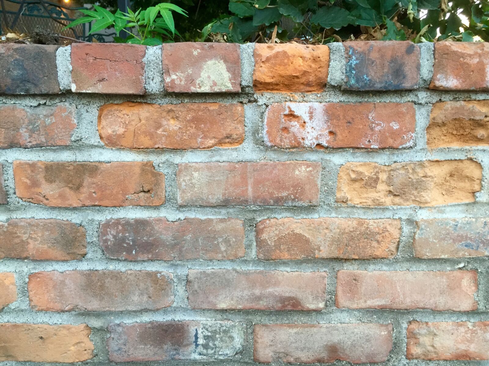 iPhone 6 back camera 4.15mm f/2.2 sample photo. Brick, wall, texture photography