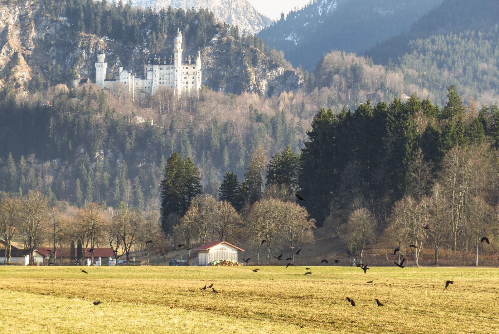Canon PowerShot SX50 HS sample photo. Castle, kristin, schwangau photography