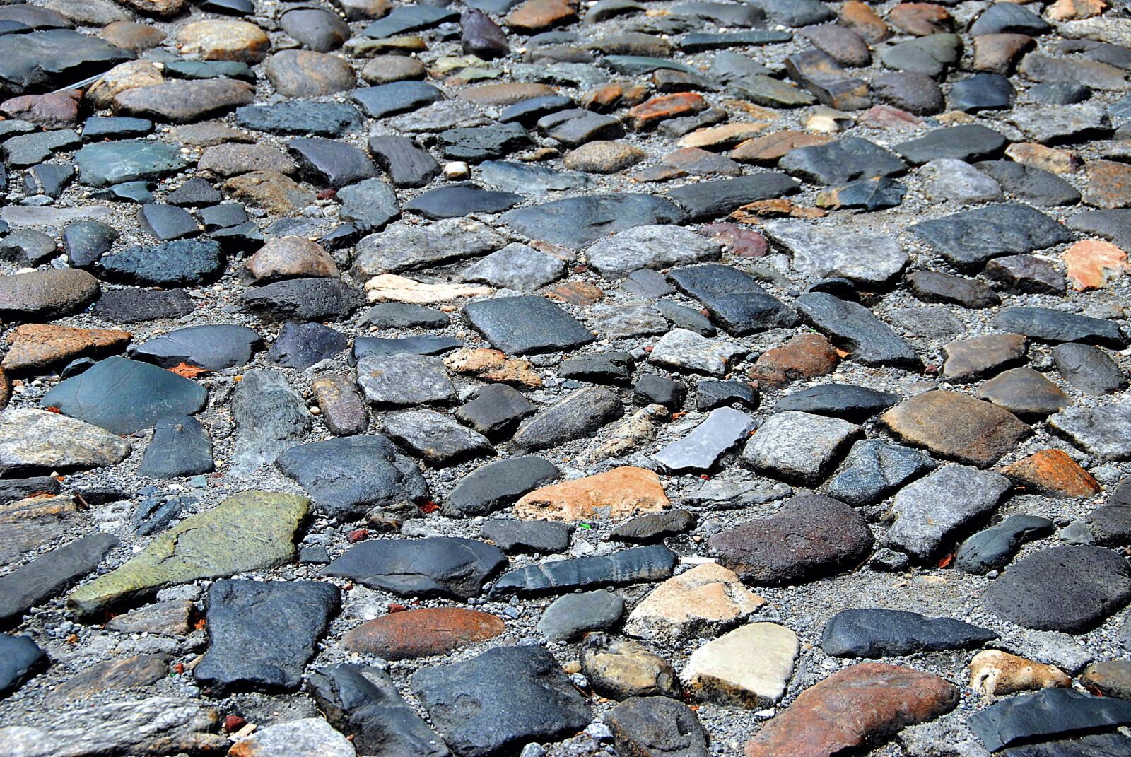 Nikon D200 sample photo. Cobble stone, street, road photography