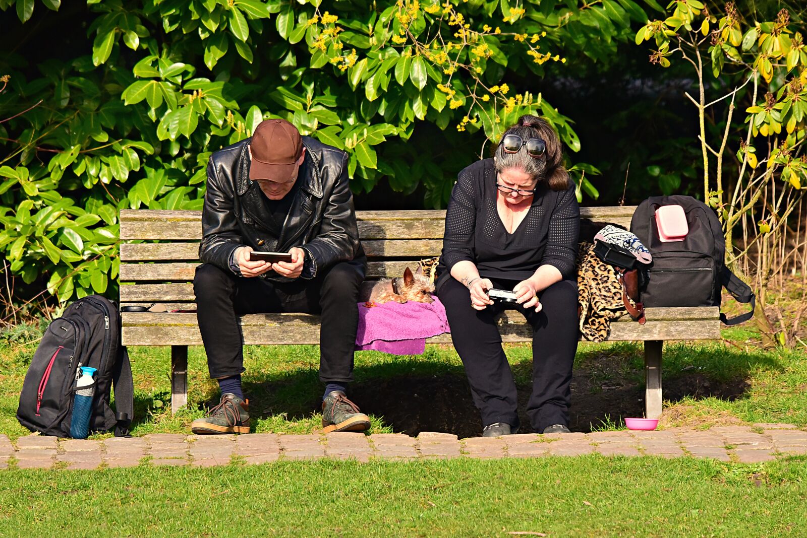 Nikon D750 sample photo. Man, woman, people photography