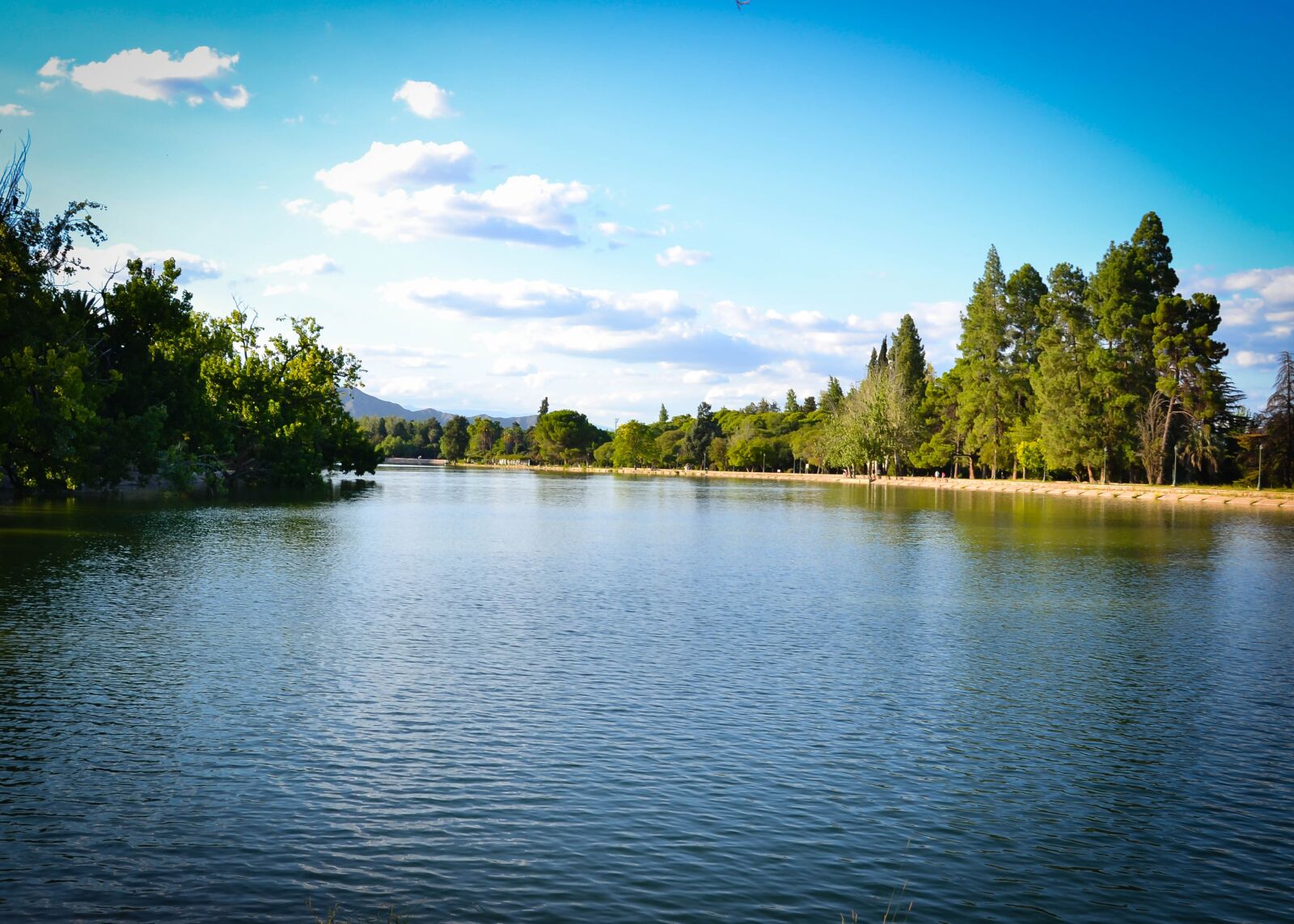 Nikon D3100 sample photo. Postal, lake, mendoza photography