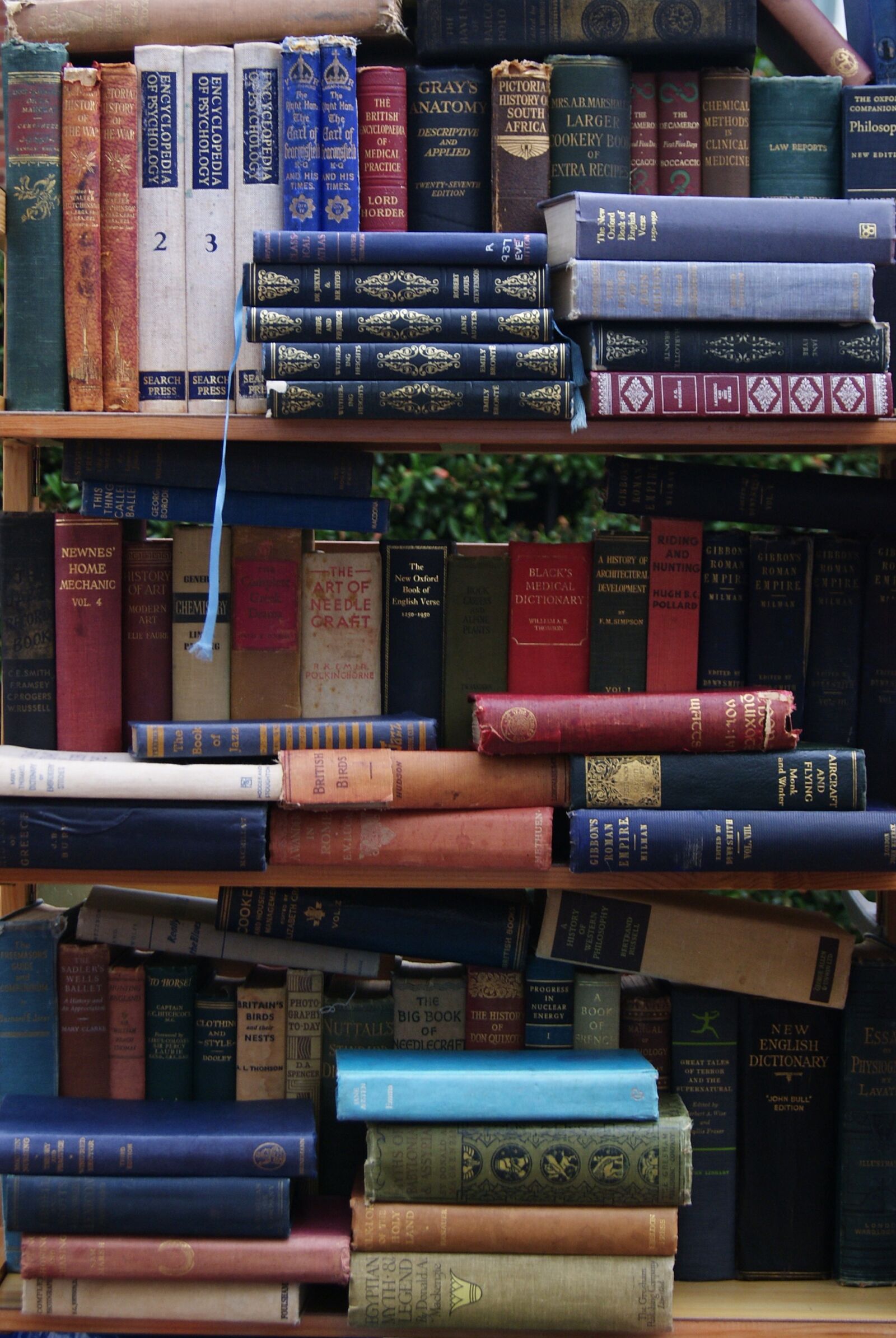 Sony Alpha DSLR-A230 sample photo. Books, shelving, library photography