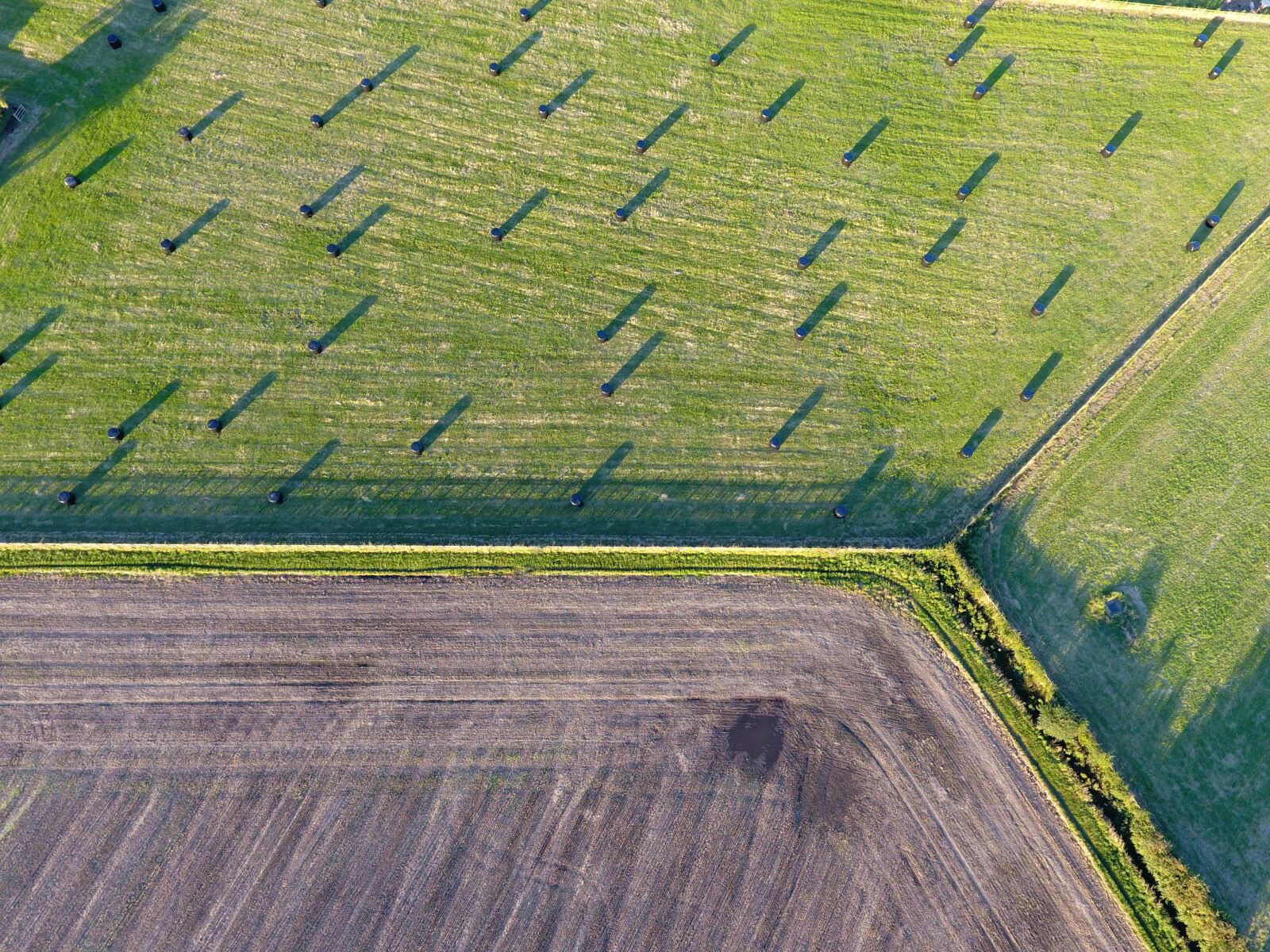 DJI FC330 sample photo. Field, agriculture, farming photography