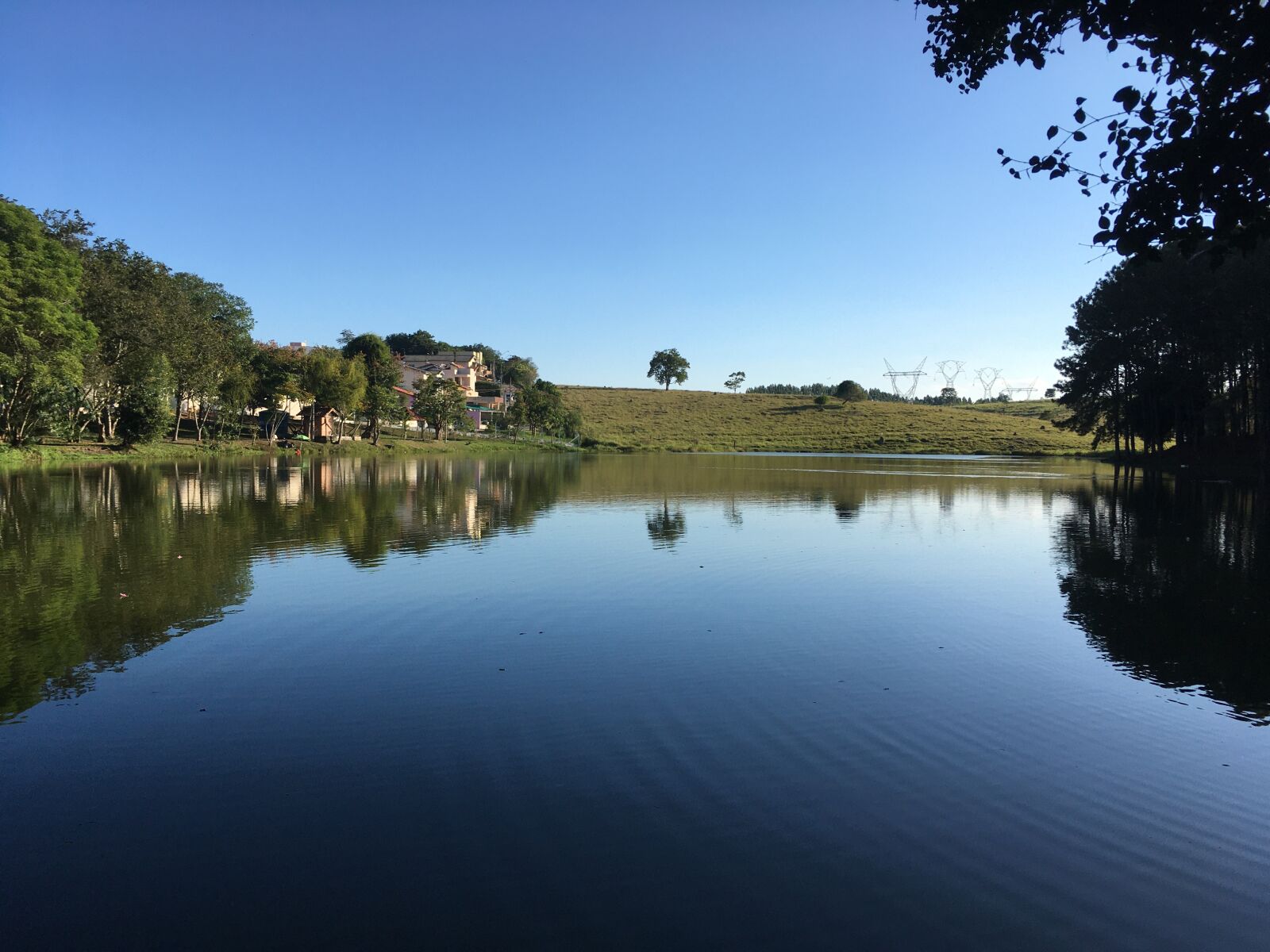 iPhone SE back camera 4.15mm f/2.2 sample photo. Nature, lake, pond photography