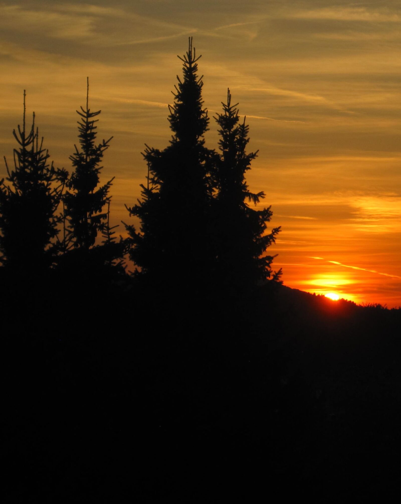 Canon PowerShot SD1200 IS (Digital IXUS 95 IS / IXY Digital 110 IS) sample photo. Sun goes down, firs photography