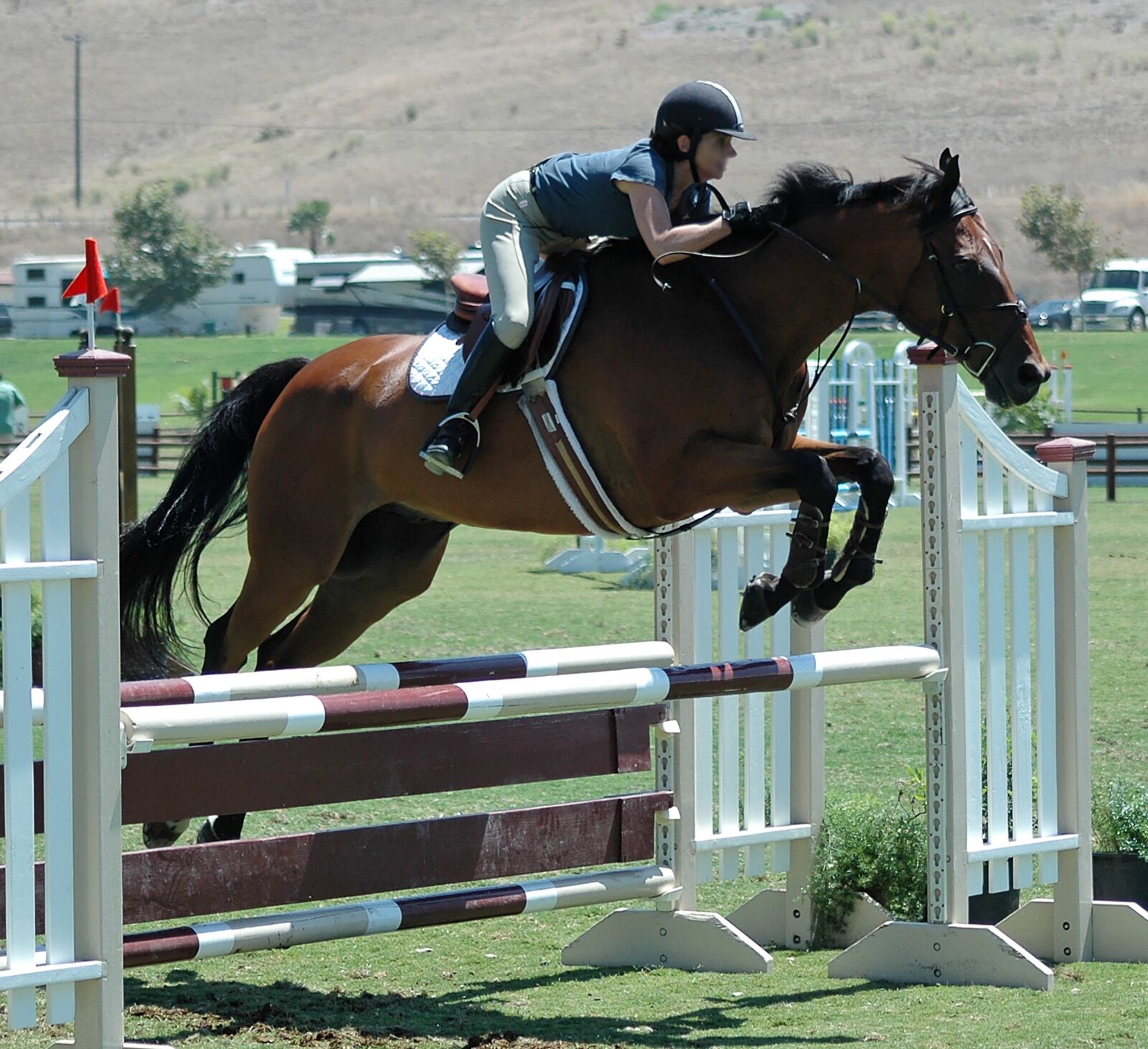 Nikon D70s sample photo. Horse, horses, horseback photography