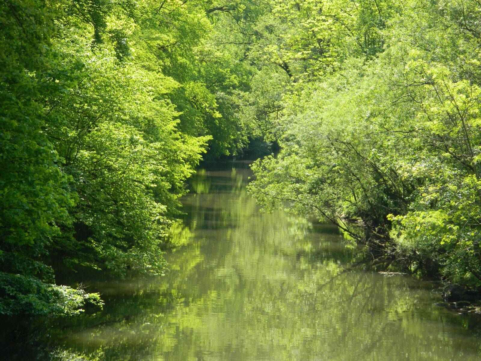 Nikon Coolpix L120 sample photo. River, nature, water photography