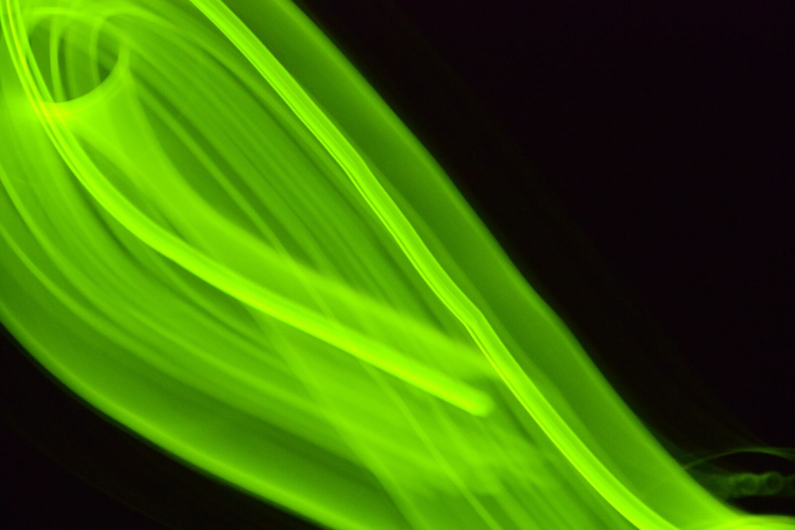 Nikon D3300 sample photo. Green, light, blurry photography