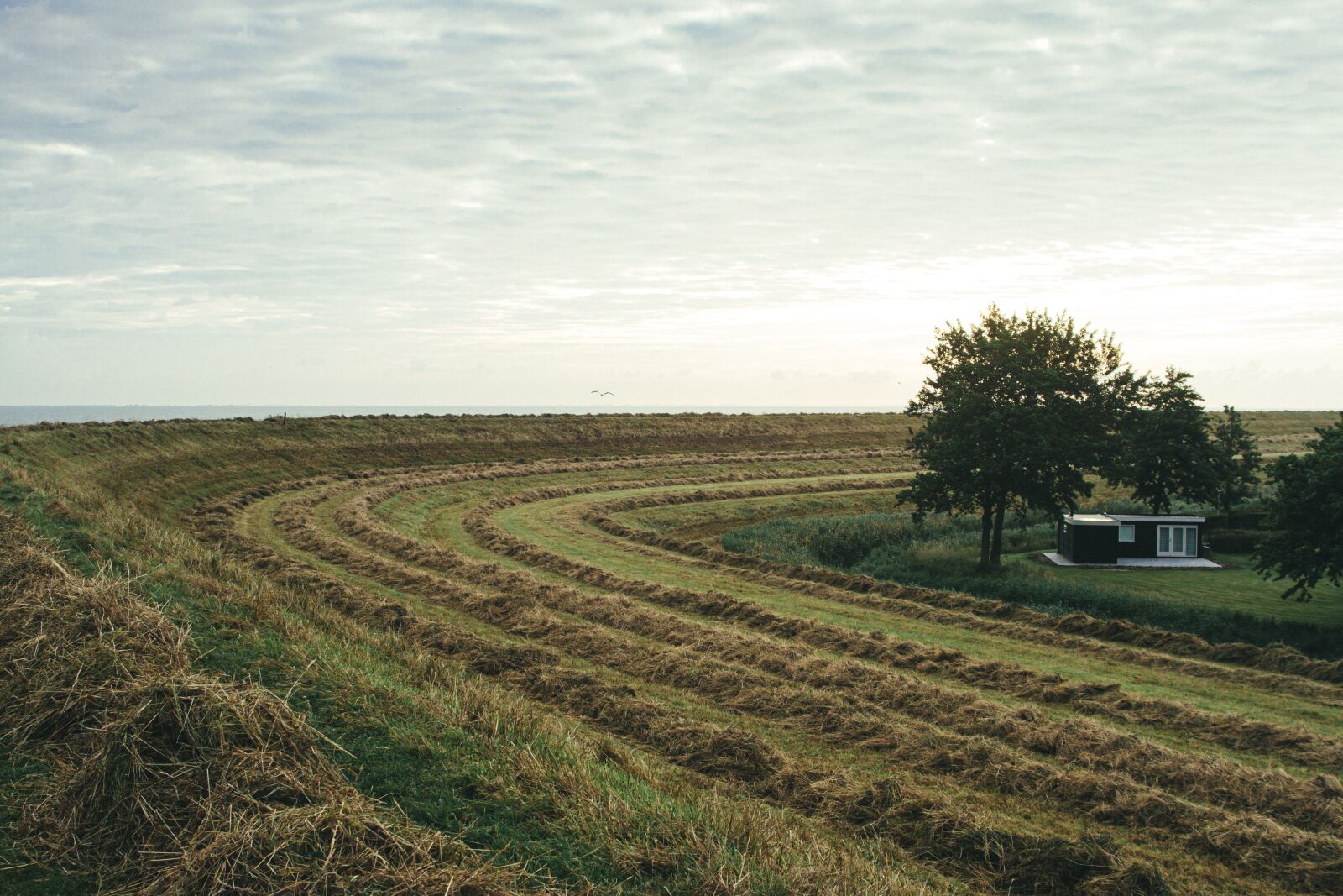 Canon EOS 7D sample photo. Dike, mow, straw photography