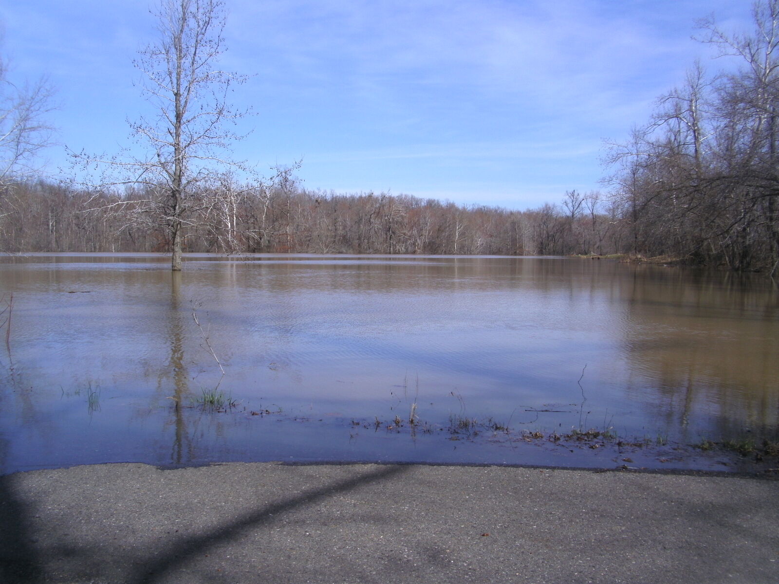 CAMERA 8MP-9HX sample photo. Flooded, water photography