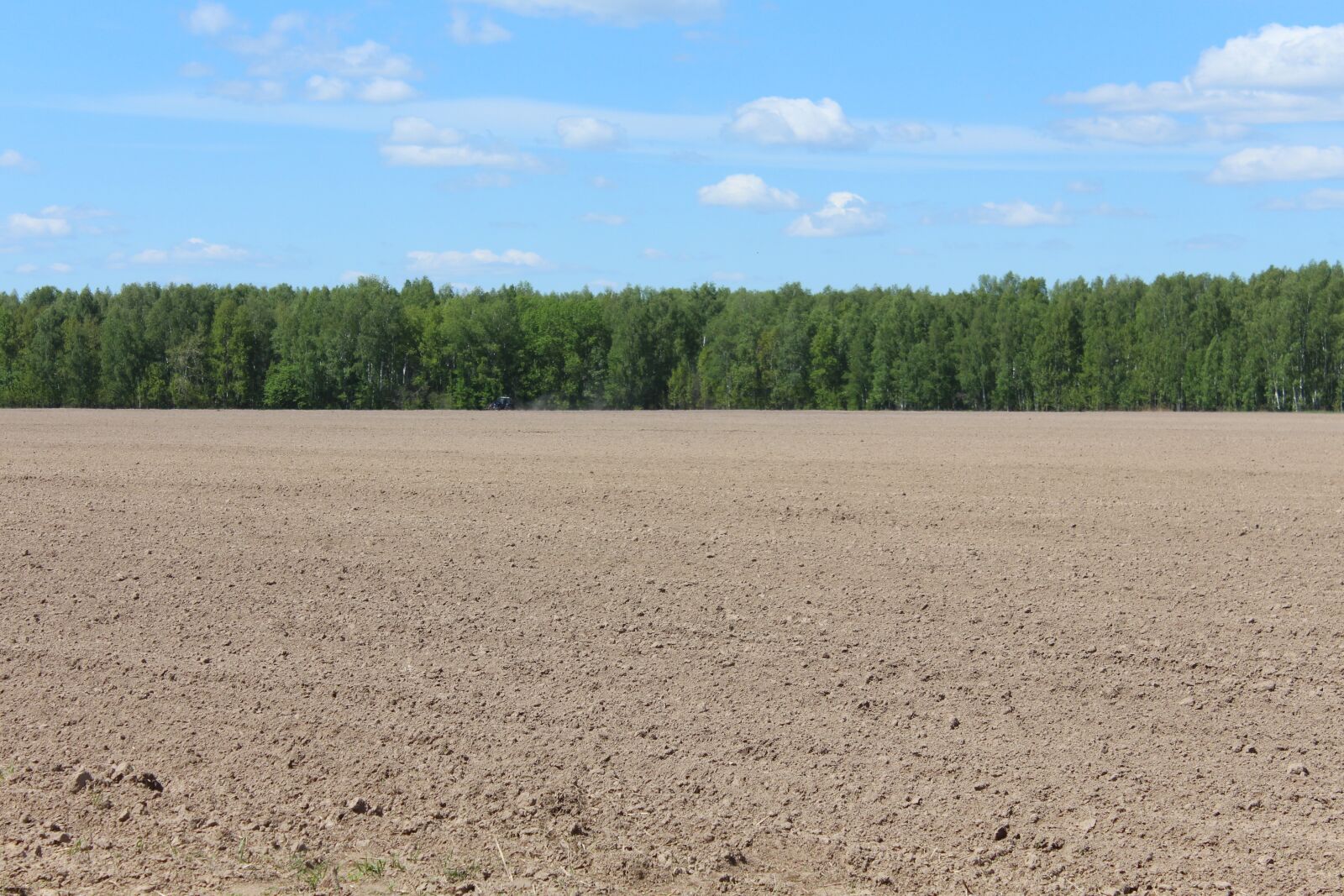 Canon EOS 650D (EOS Rebel T4i / EOS Kiss X6i) sample photo. Sky, field, land photography