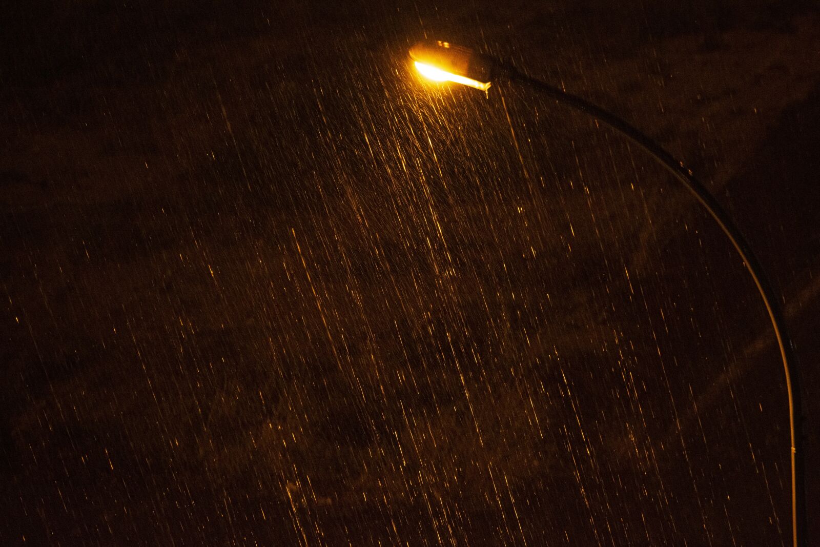Nikon D3400 sample photo. Rain, light, lights photography