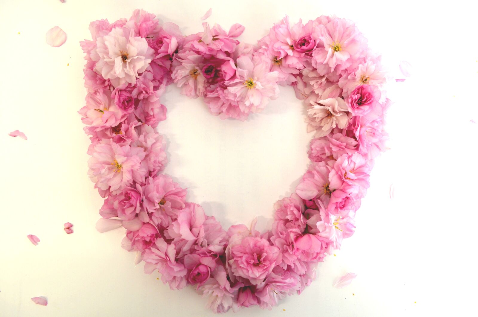 Nikon D5100 sample photo. Heart, from roses, mother's photography