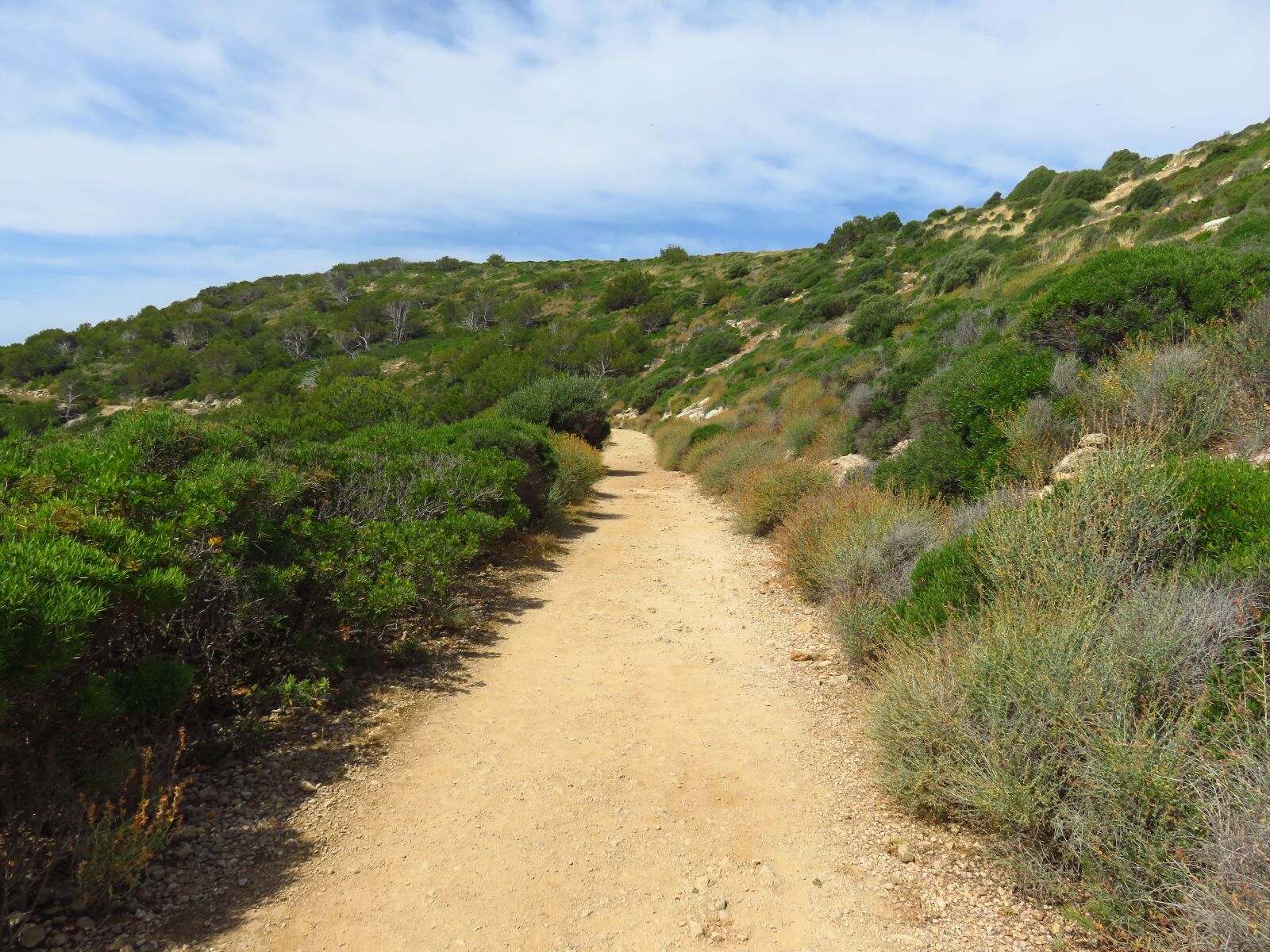 Canon PowerShot SX710 HS sample photo. Away, trail, landscape photography