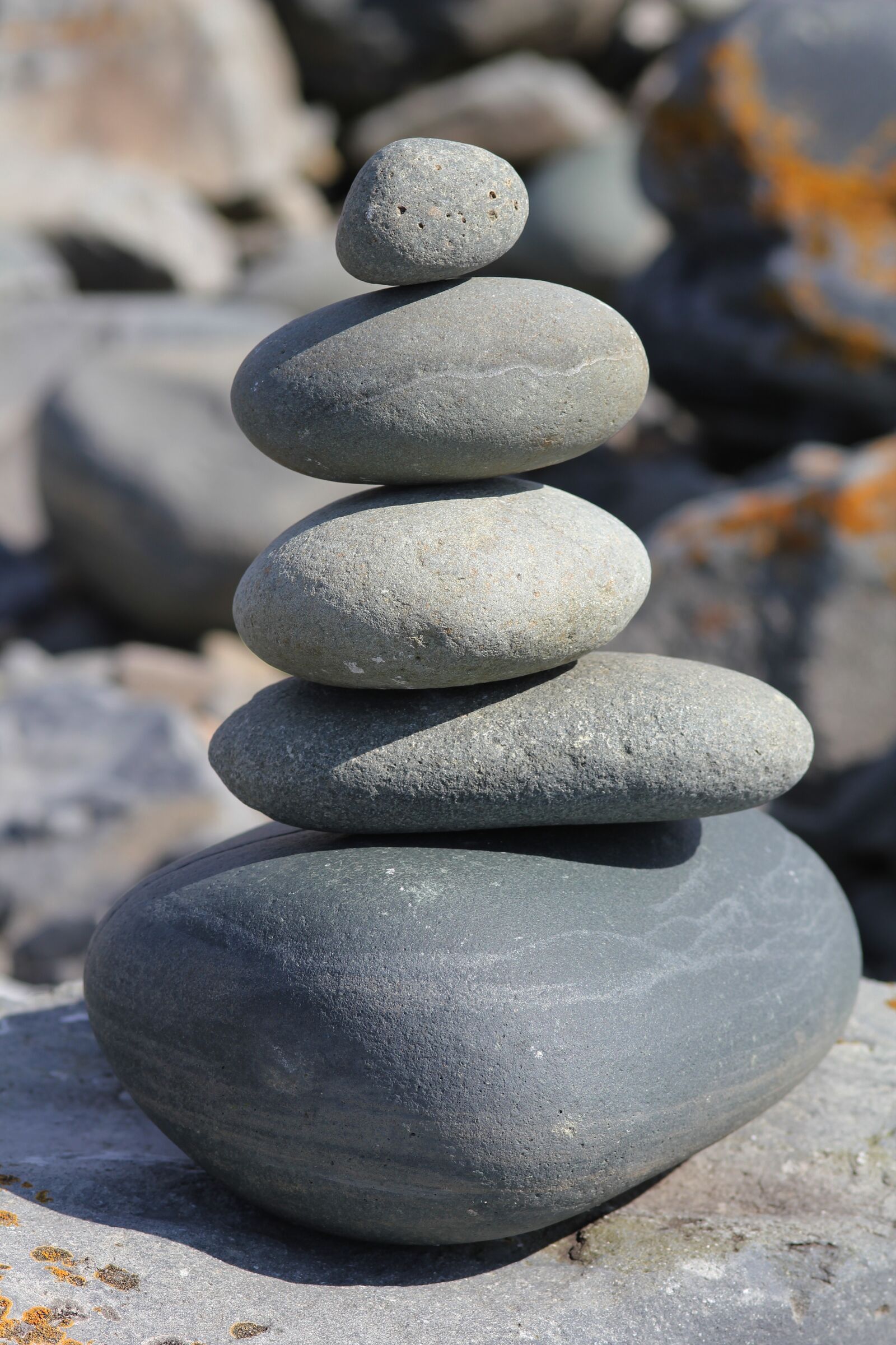 Canon EOS 550D (EOS Rebel T2i / EOS Kiss X4) sample photo. Balance, balancing, boulder, close photography