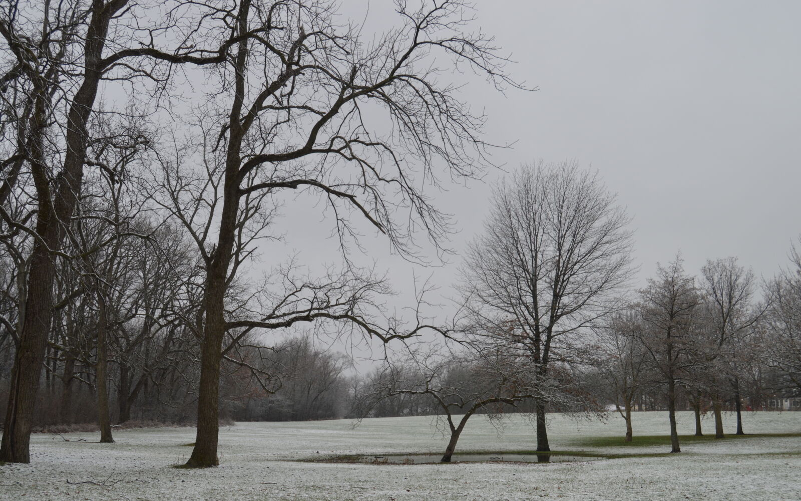 Nikon D3200 sample photo