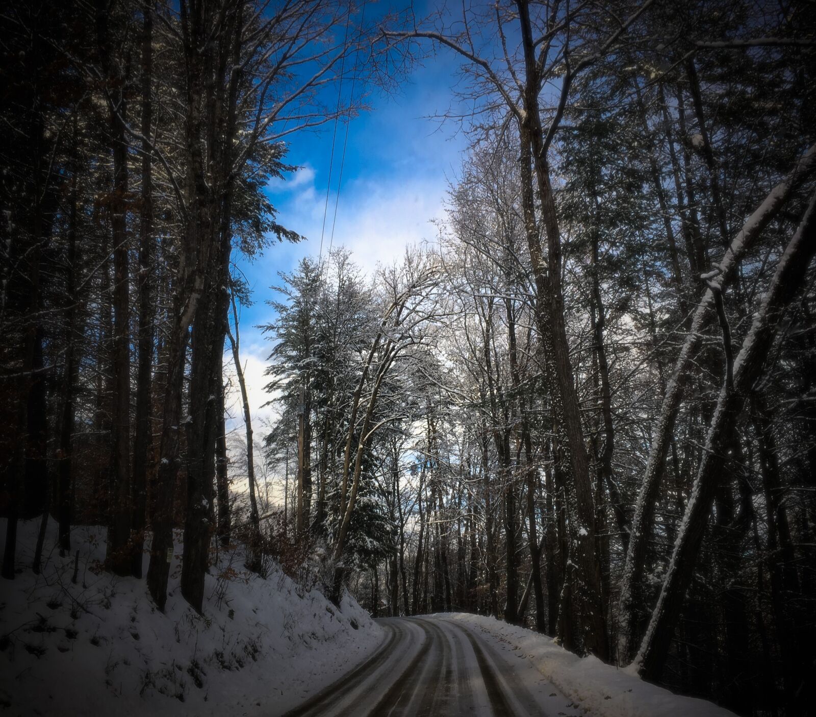 iPhone SE back camera 4.15mm f/2.2 sample photo. Vermont, snow, woods photography