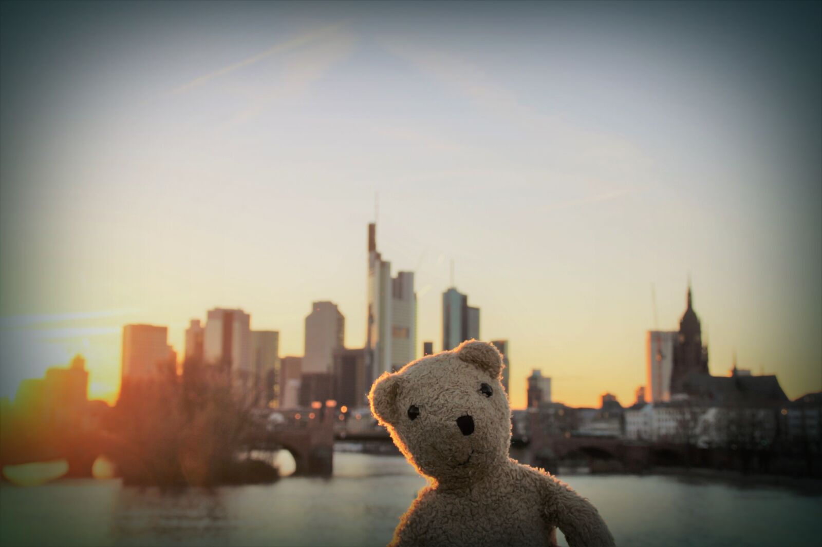 Canon EOS 2000D (EOS Rebel T7 / EOS Kiss X90 / EOS 1500D) sample photo. Frankfurt, skyline, teddy photography