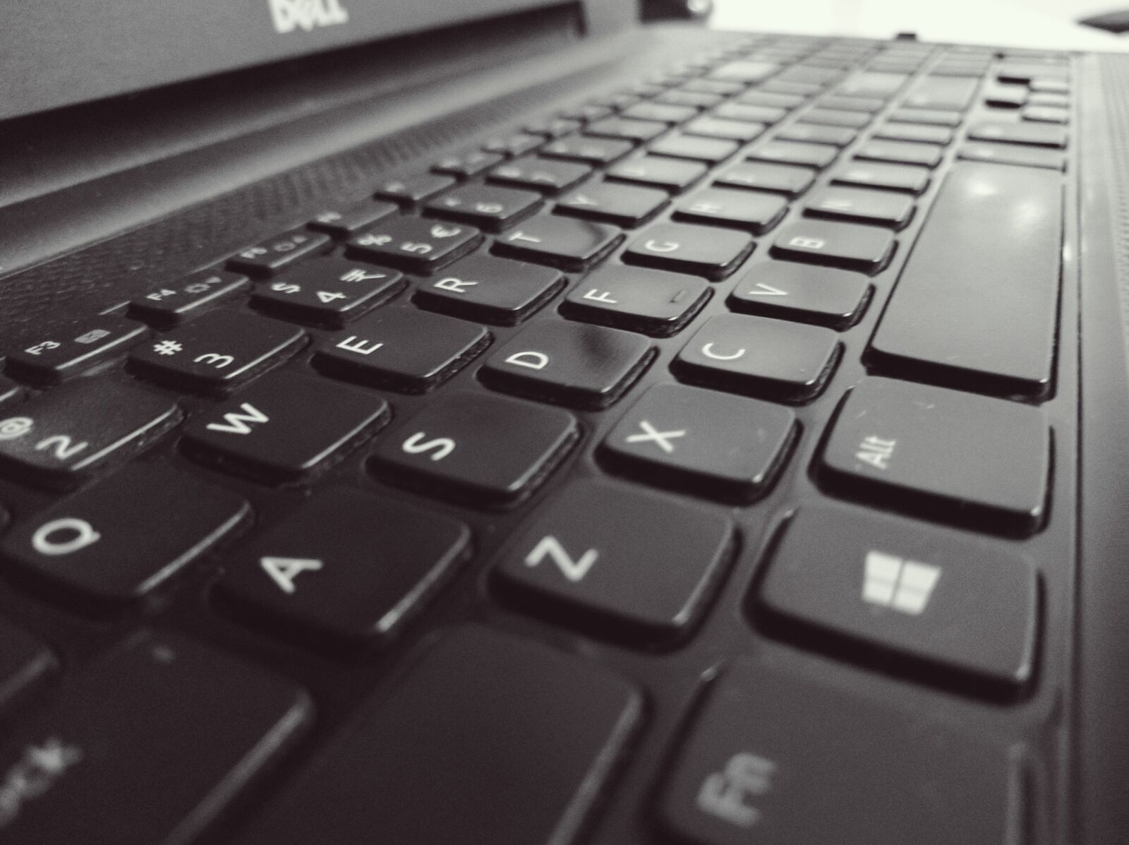 LG Nexus 5X sample photo. Black, and, white, computer photography